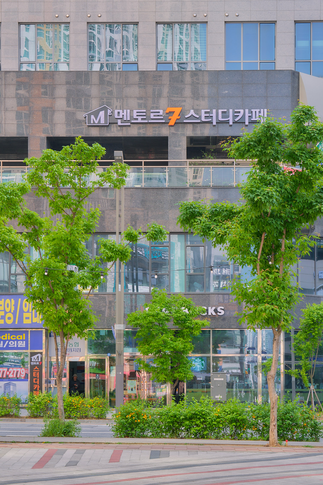 멘토르7 스터디카페 동탄여울공원점