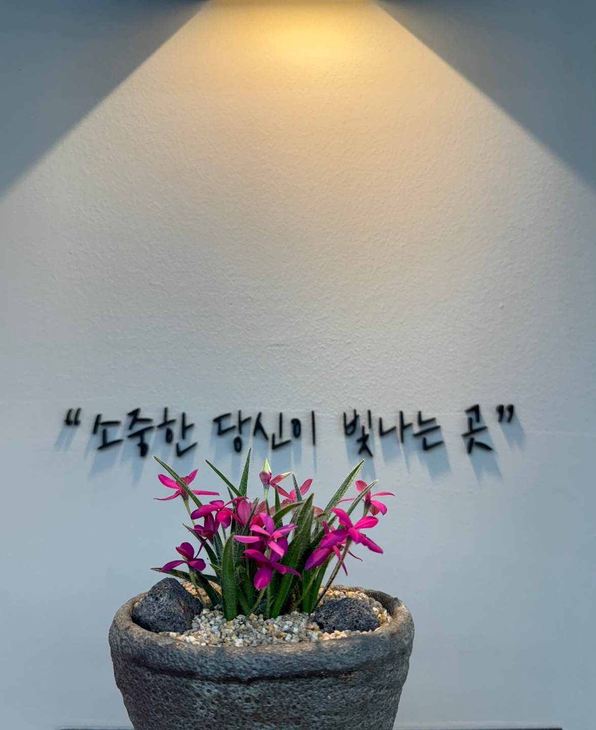 헤어필수PILSU
