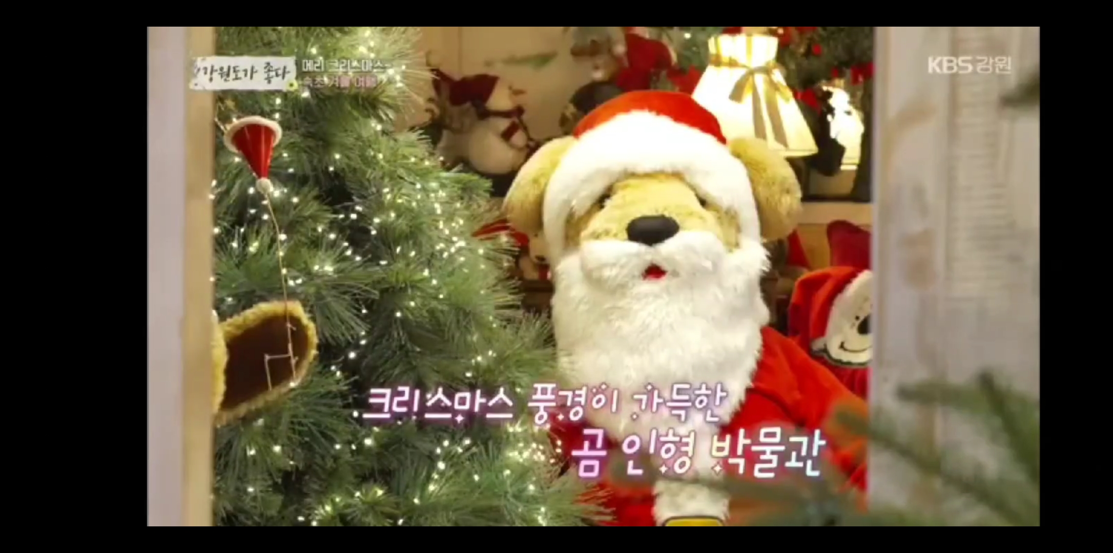 테디베어팜 (Teddy Bear Farm) 5