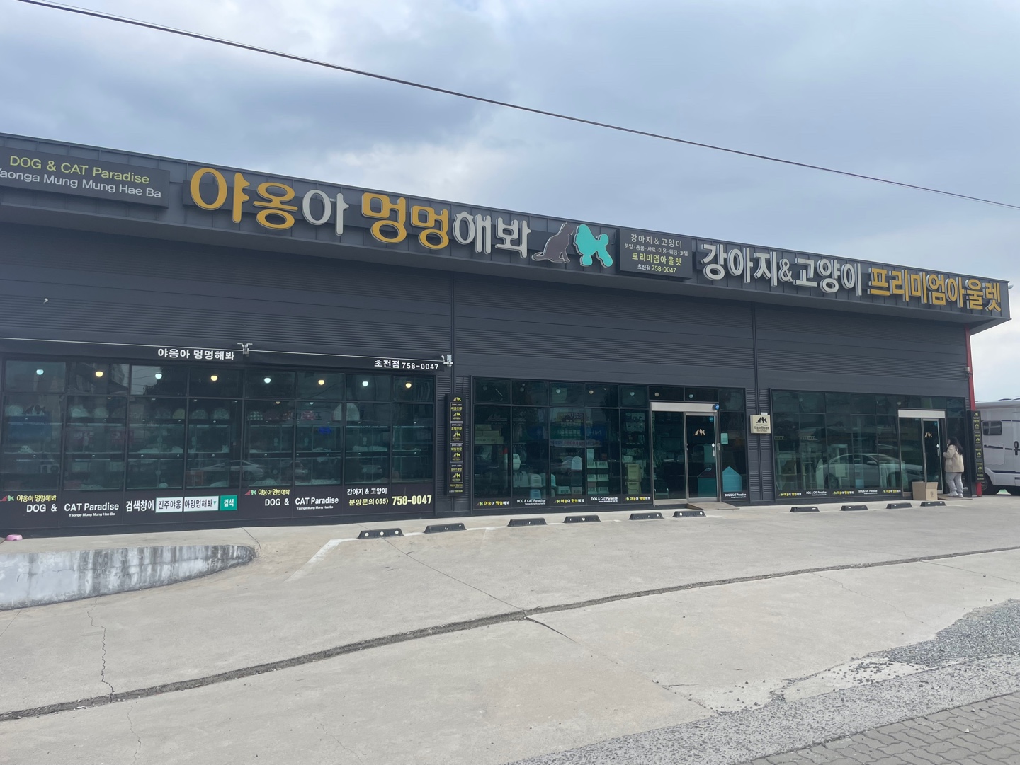 야옹아멍멍해봐 초전점
