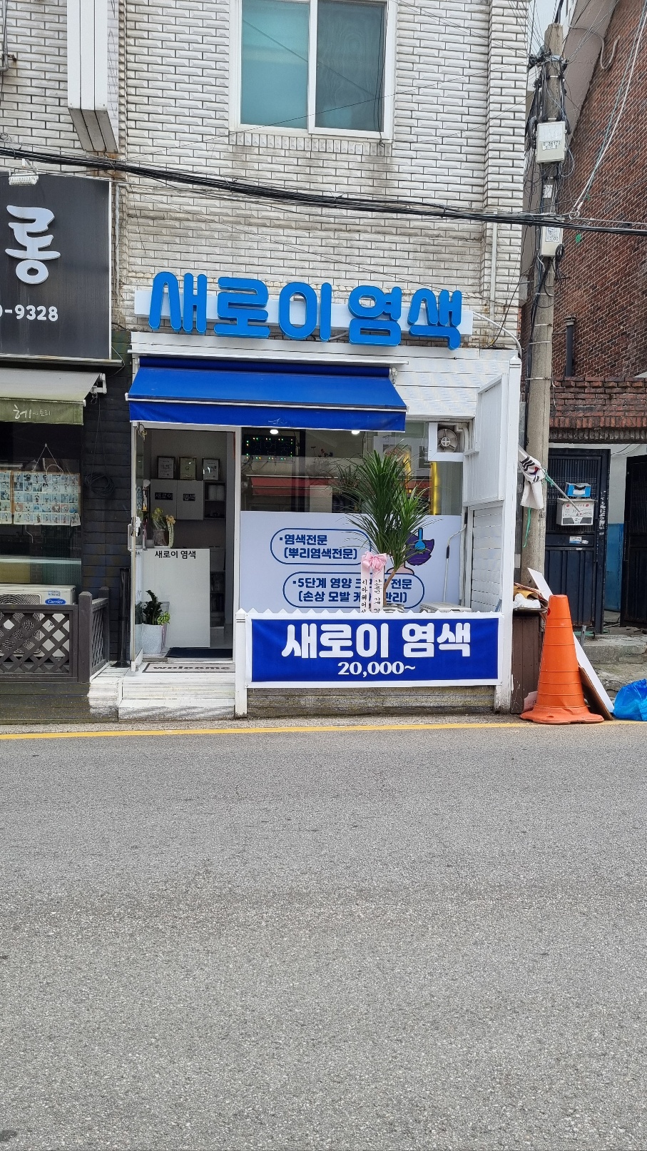 새로이 염색