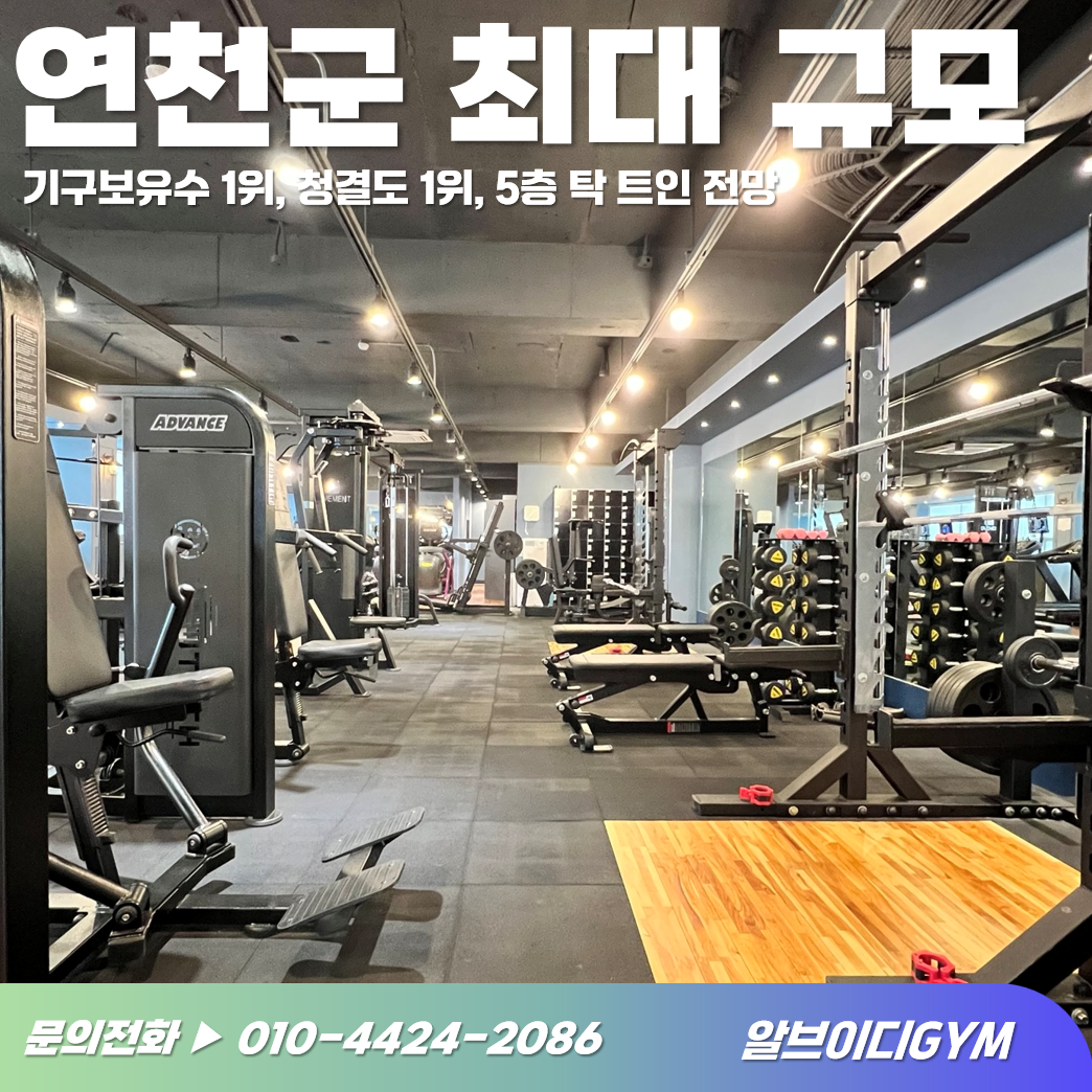 알브이디gym