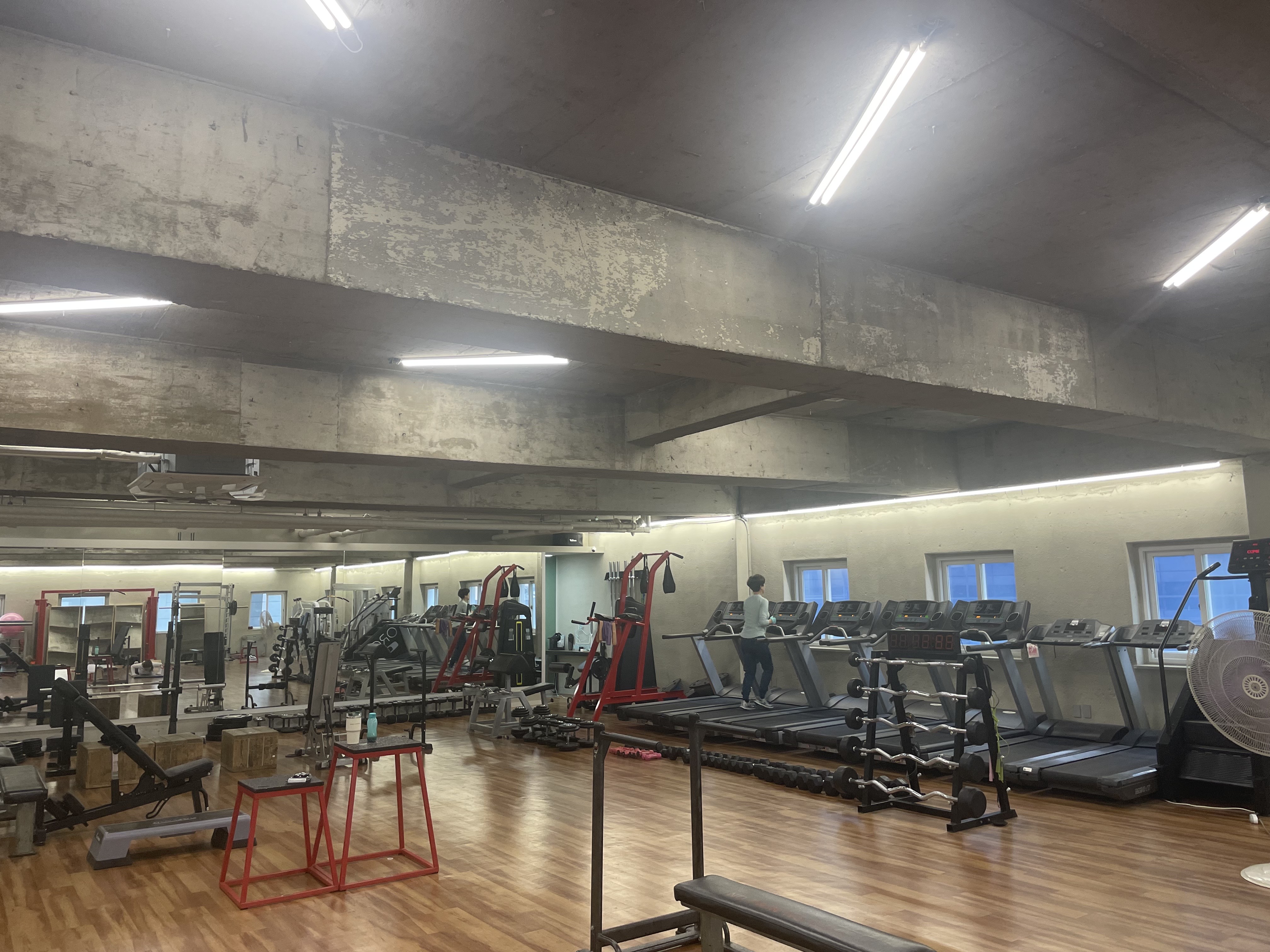 민트고래짐 대표 이미지