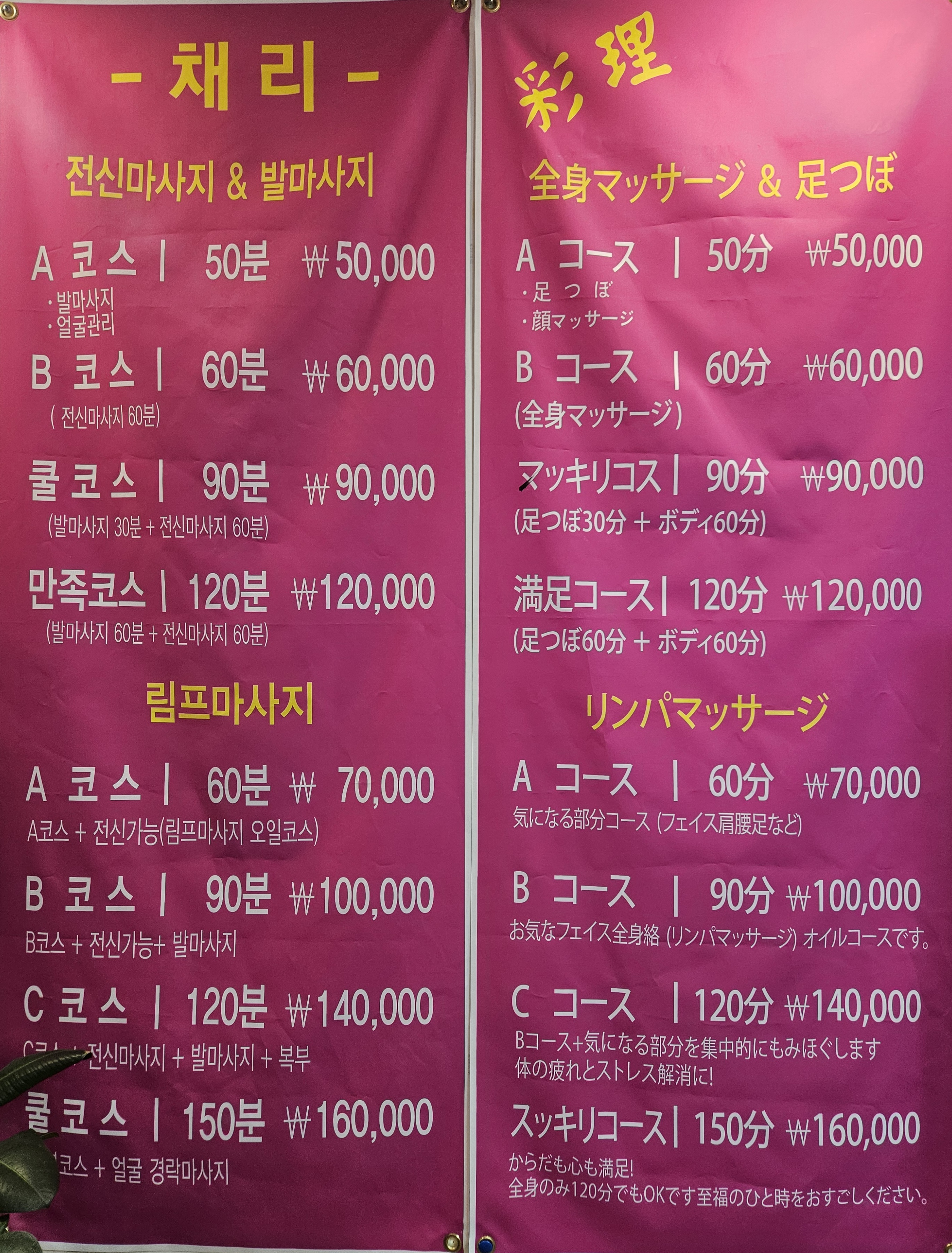 채리 photo 5