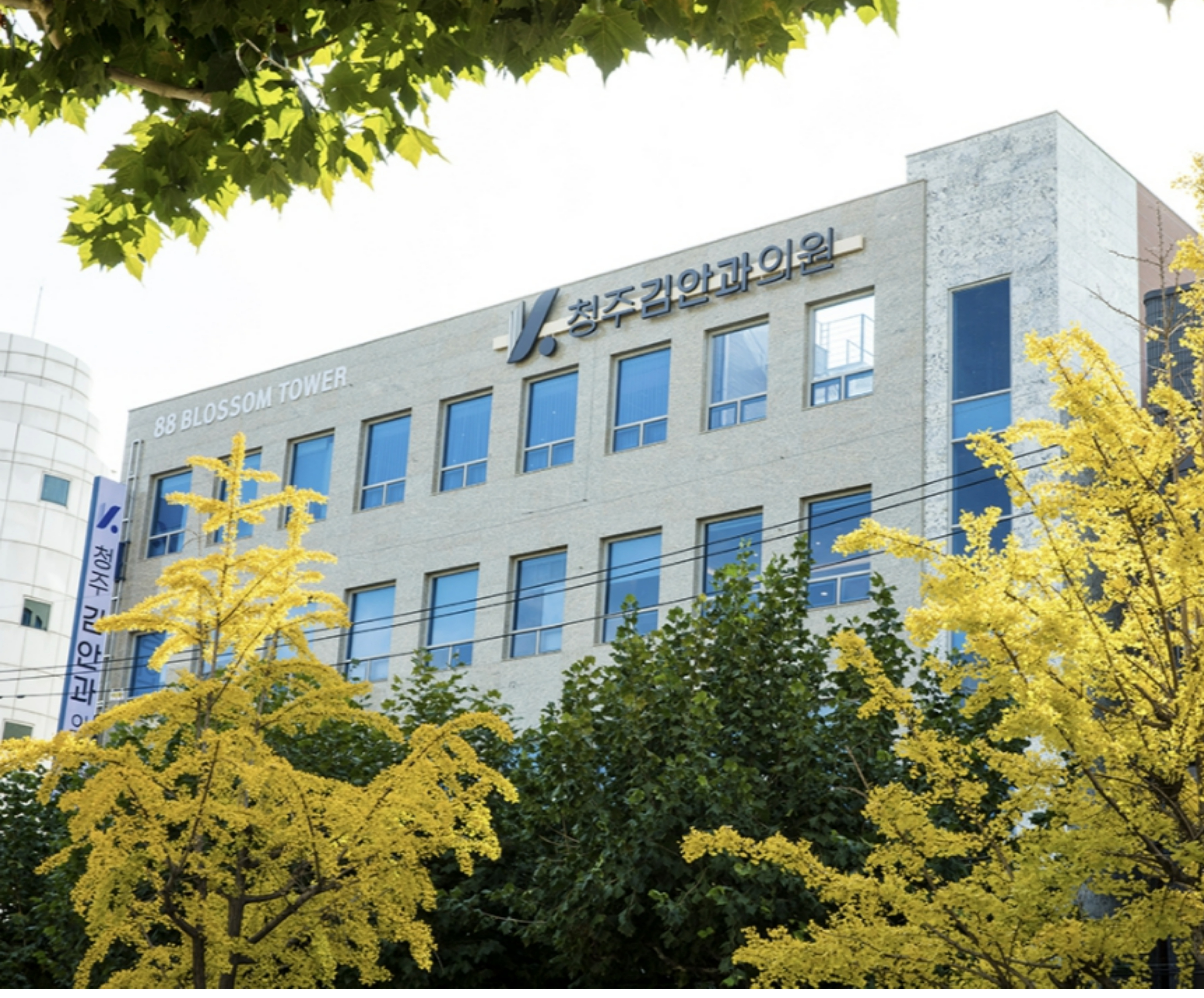 김안과의원 대표 이미지