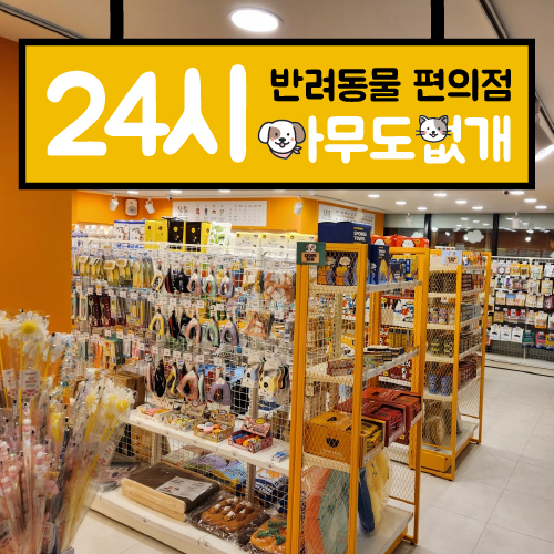 전남 순천시 애견용품 전문업체 추천 강아지용품 애완용품 애견용품점 반려동물용품점 아무도없개 순천연향점
