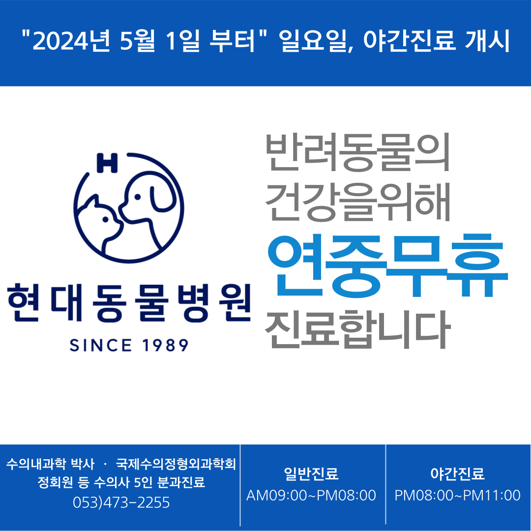 현대동물병원