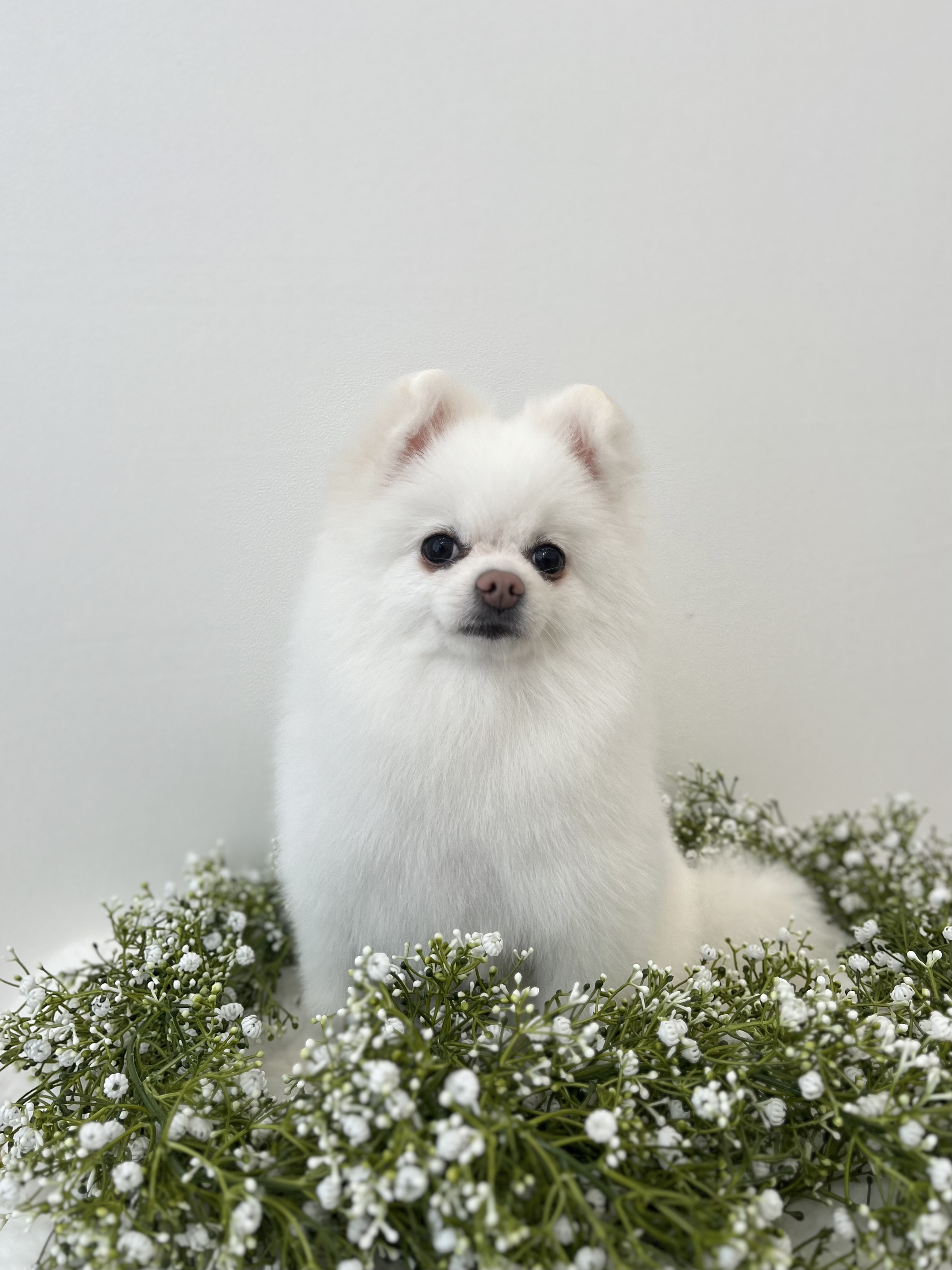 몽트루디 대표 이미지