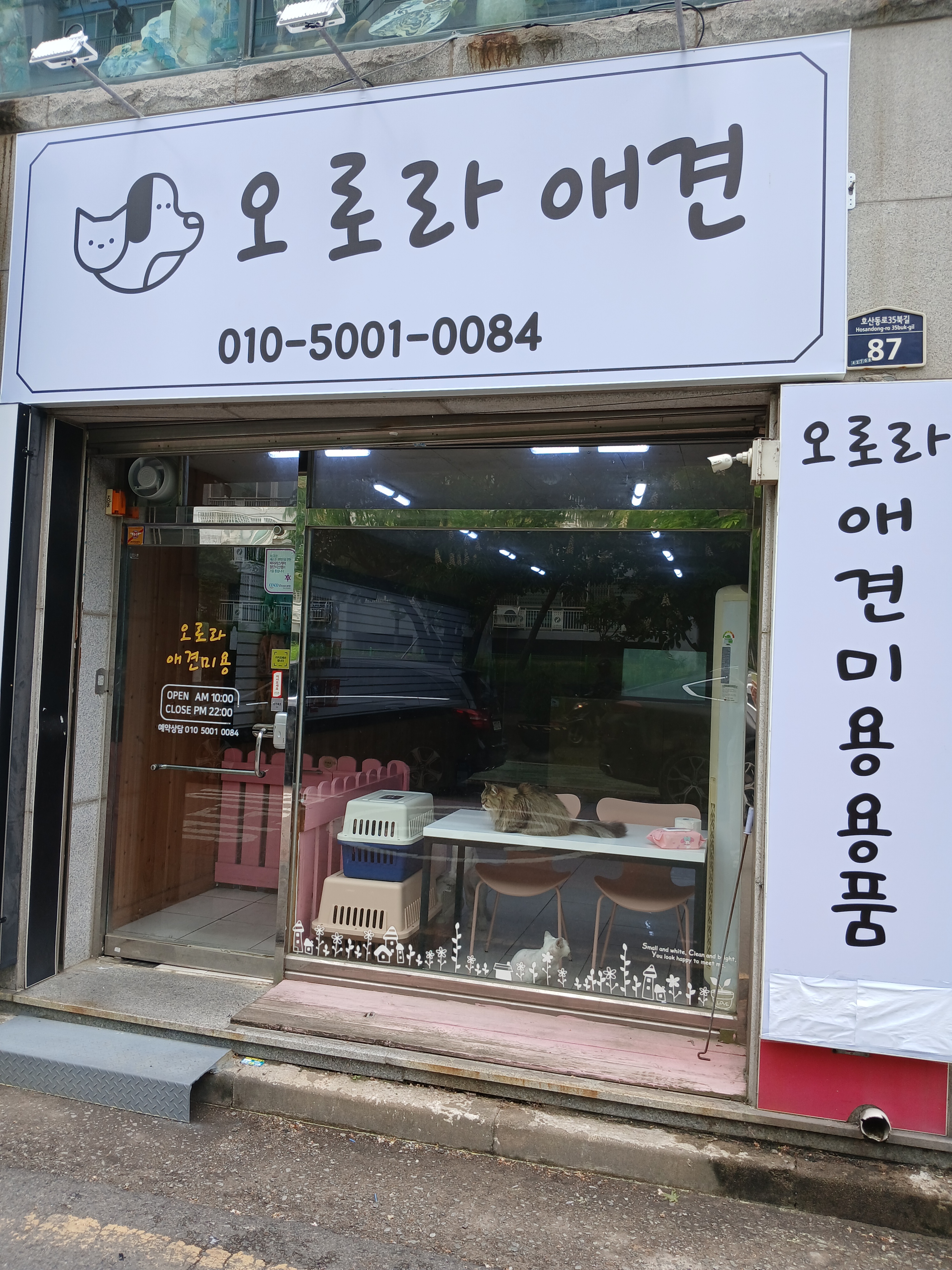 오로라애견 대표 이미지