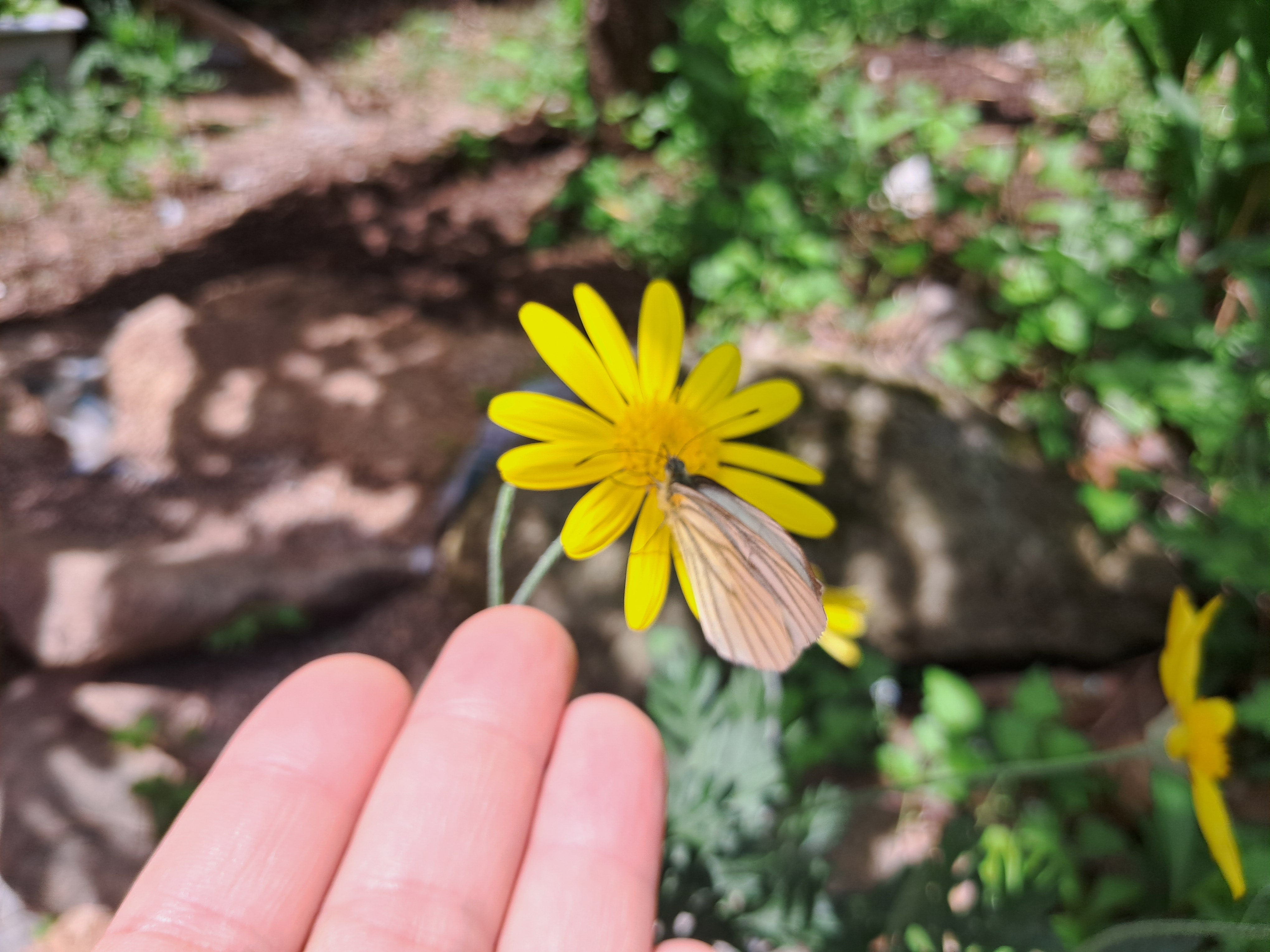 브레인통합예술치유센터/힐링명상공간푸리 대표 이미지