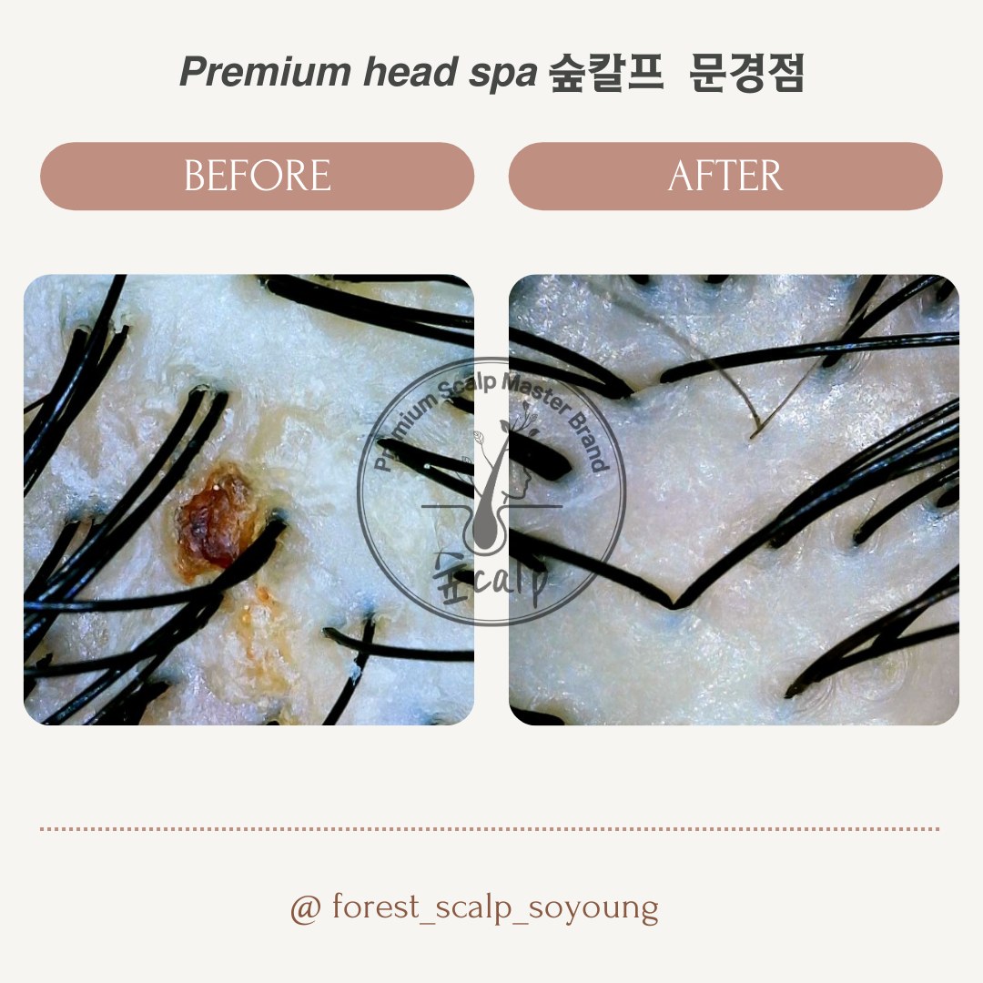 숲칼프 문경점 대표 이미지