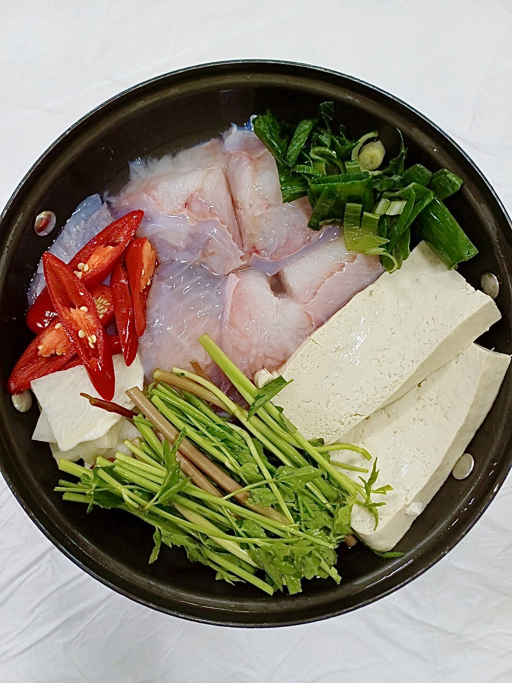 곰치랑대구랑
