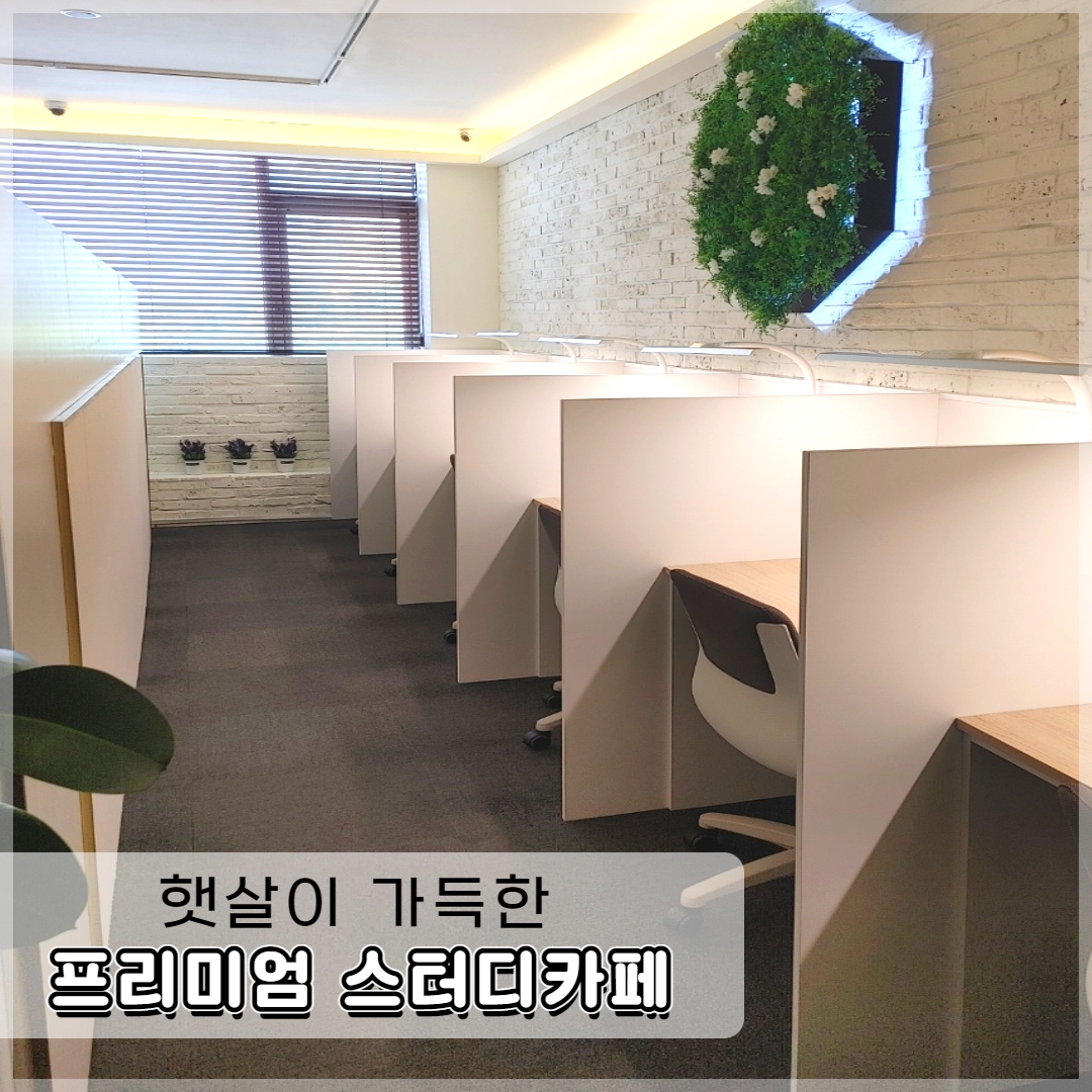 업체사진