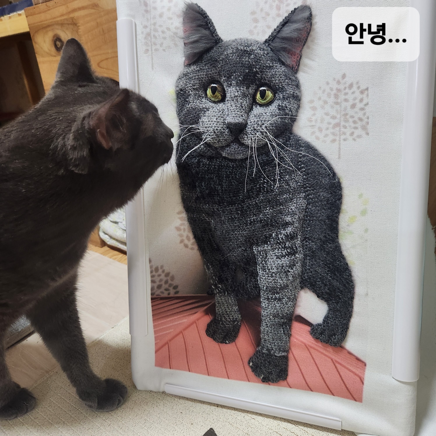 애지중지랩