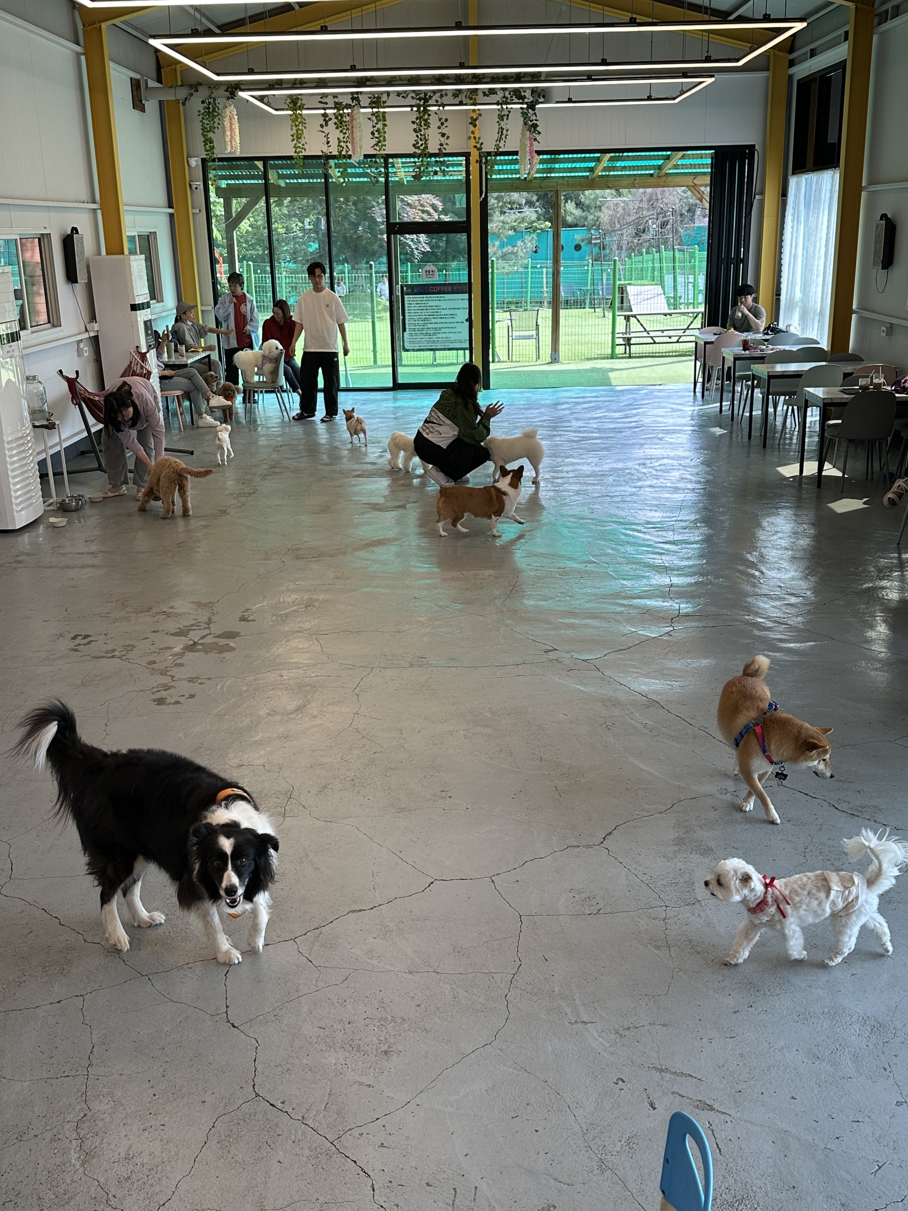 멍필드 대표 이미지