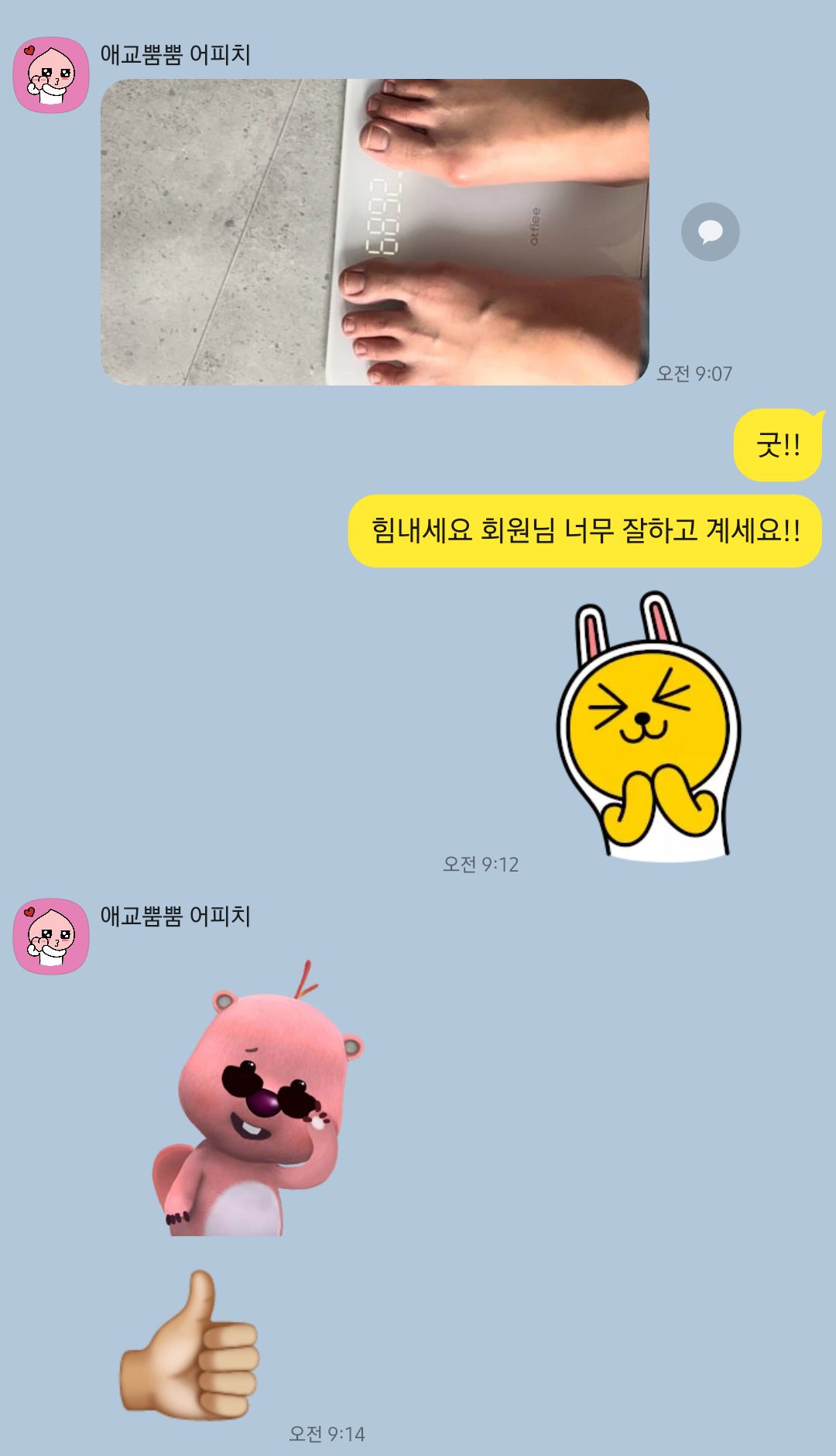 이지핏
