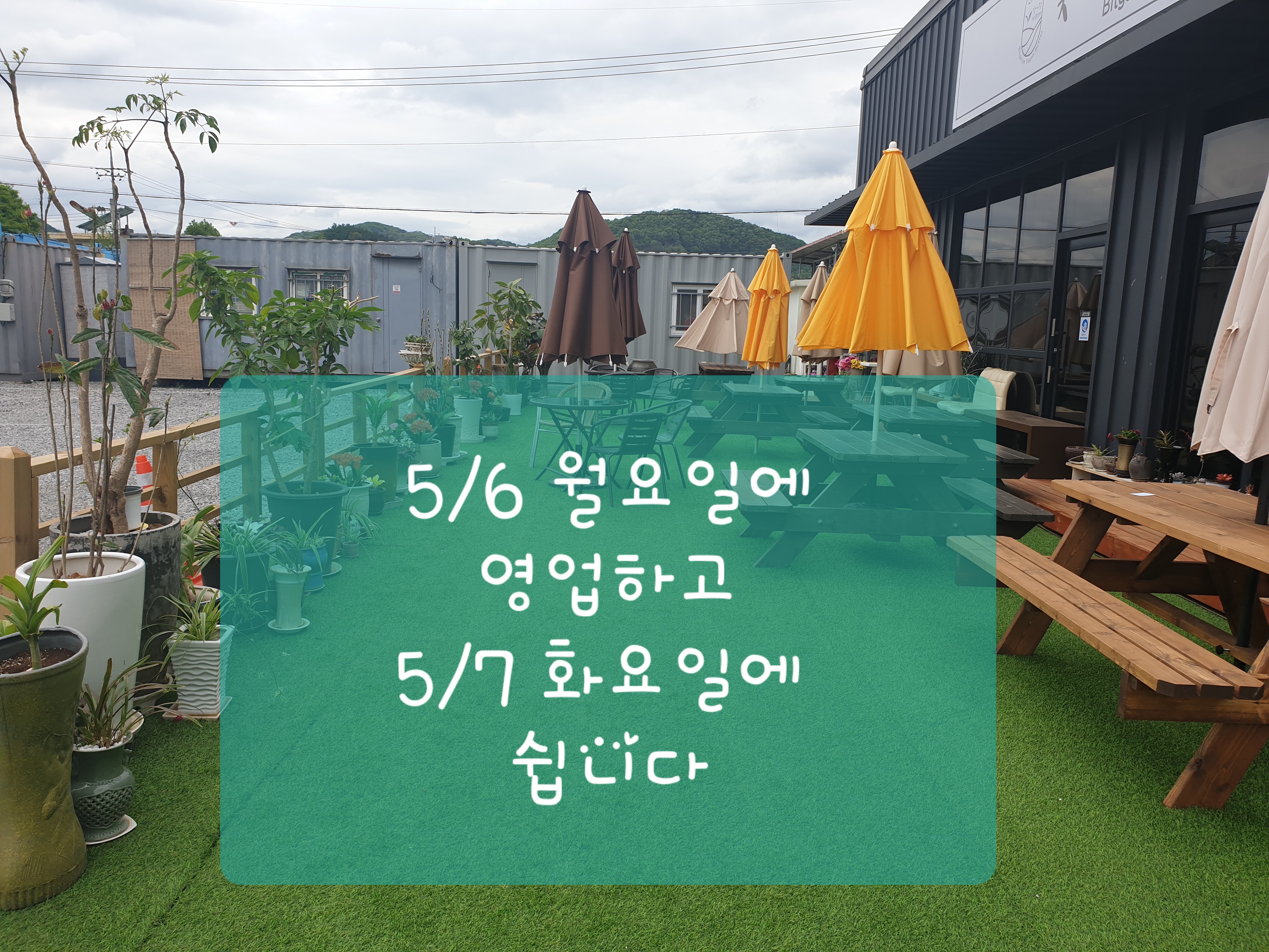 비건채식뷔페 빛가람