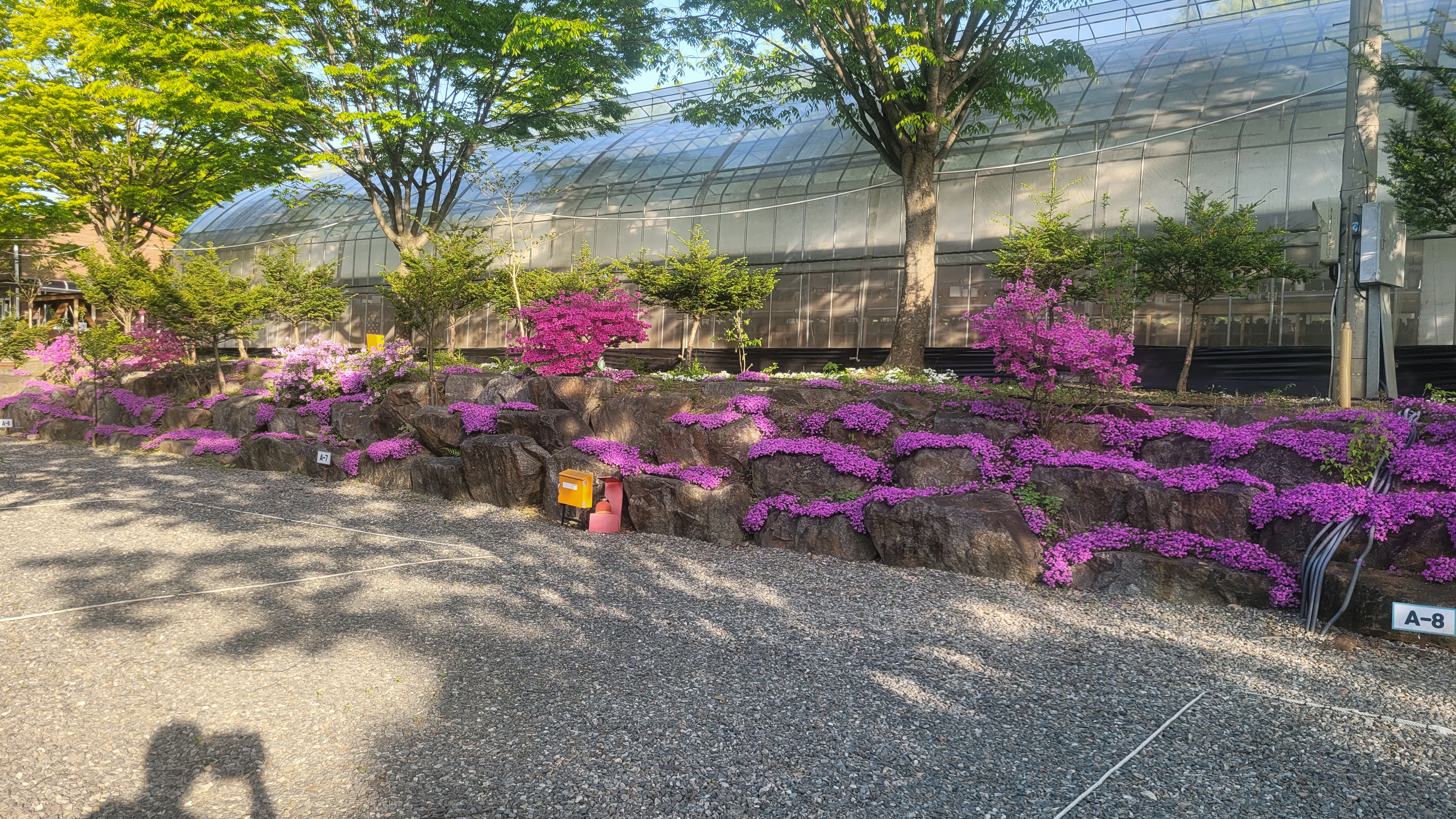 사진 4