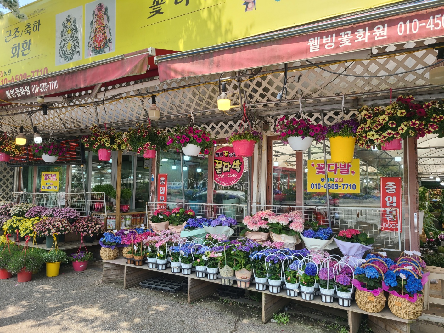 웰빙꽃농원
