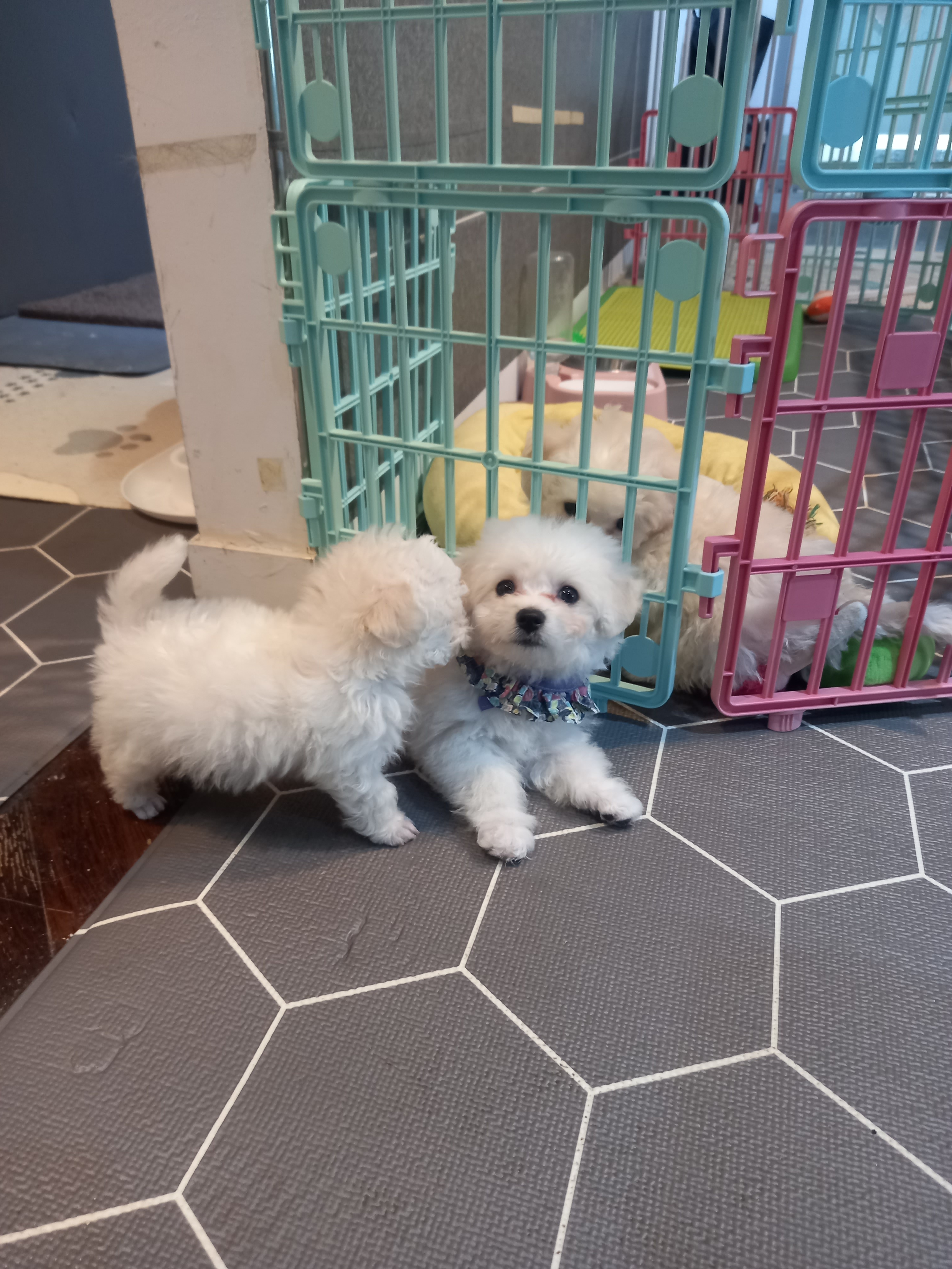 착한개조아 대표 이미지