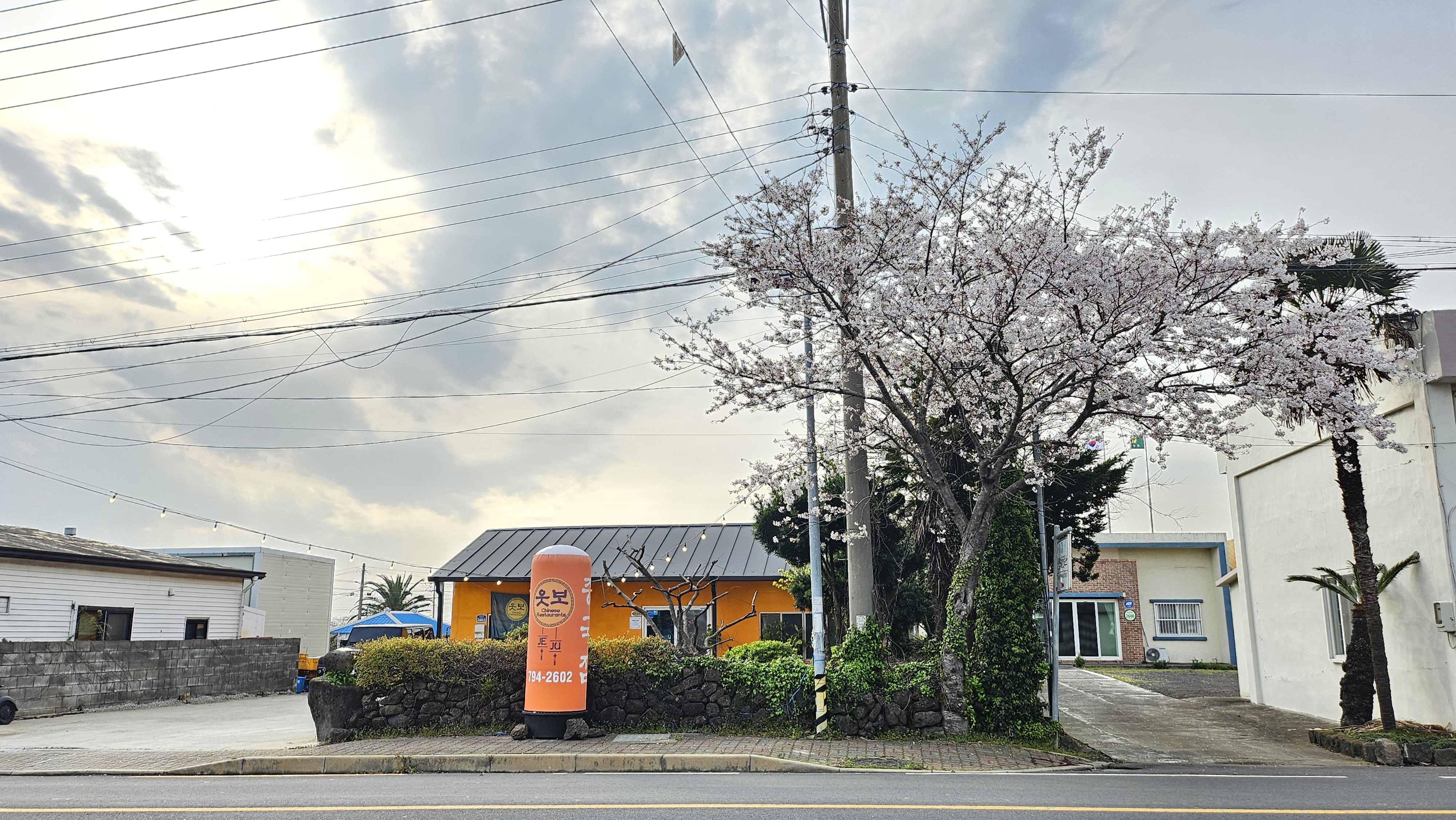 웃보