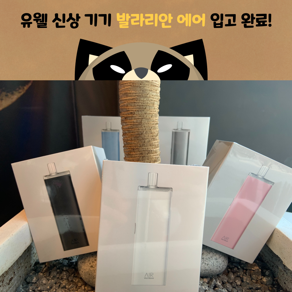송파 너구리굴 전자담배 문정점