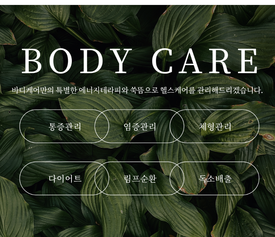 다온 바디케어