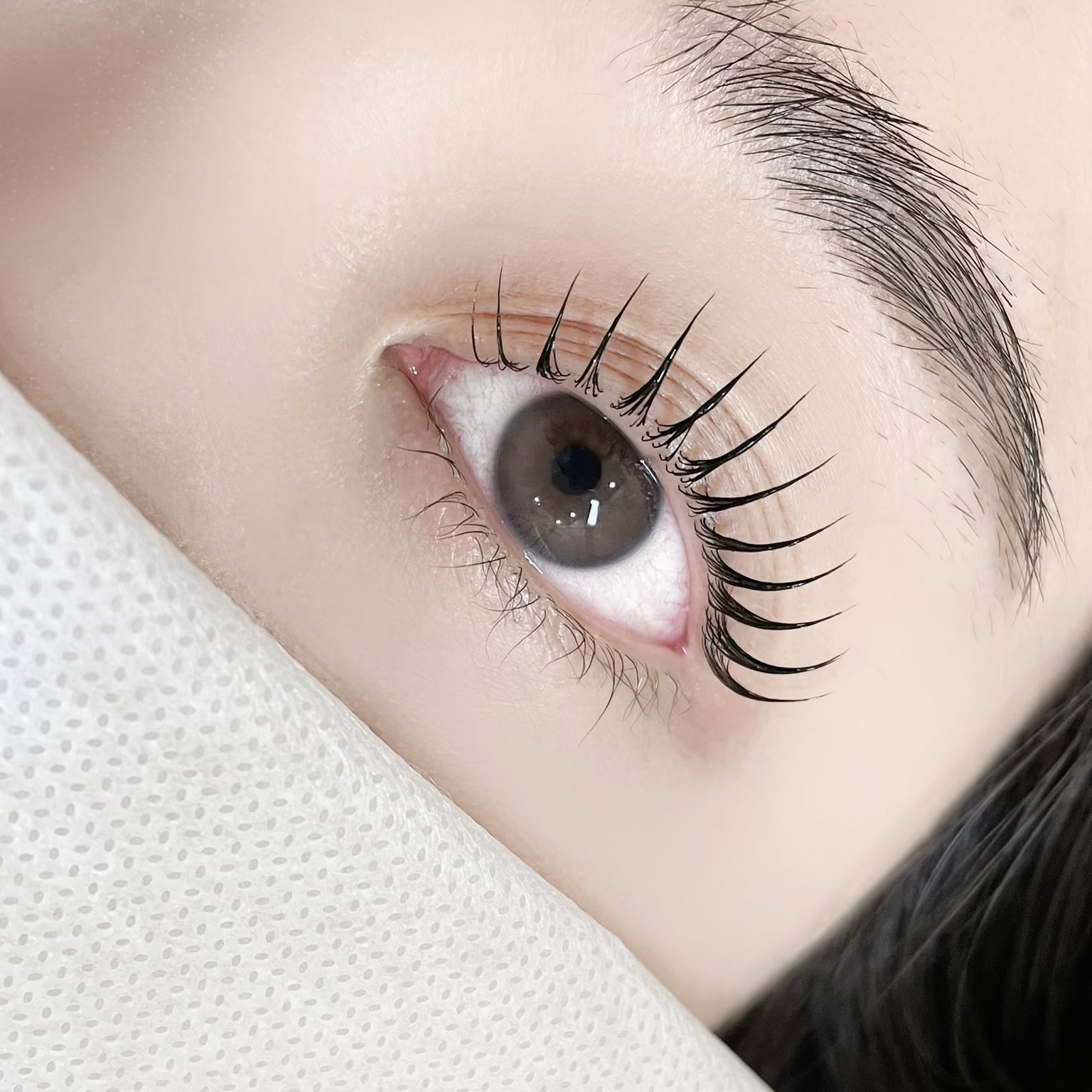 시월 대표 이미지