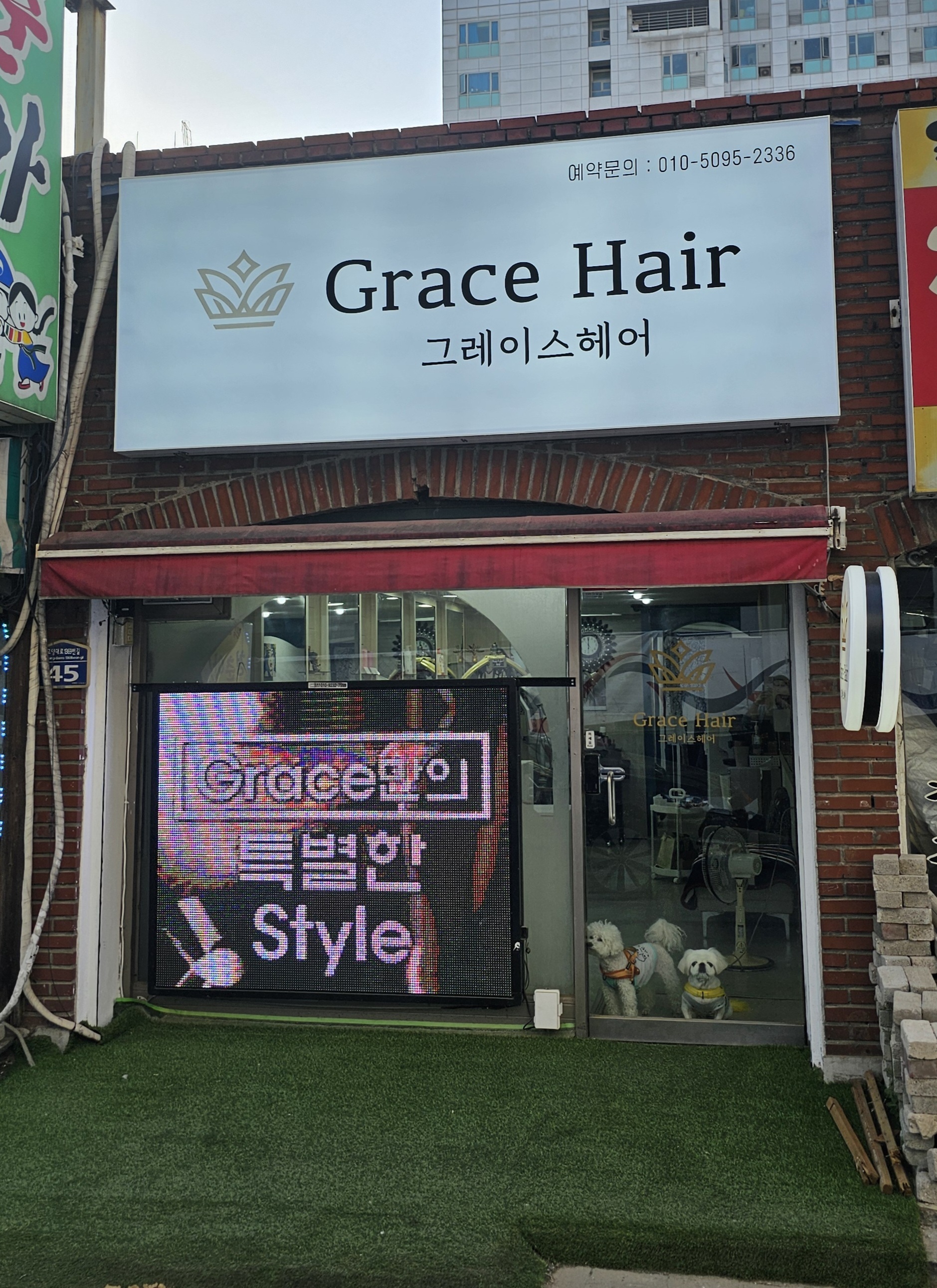 그레이스헤어