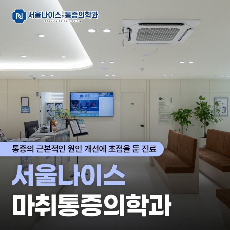 서울나이스마취통증의학과의원 대표 이미지