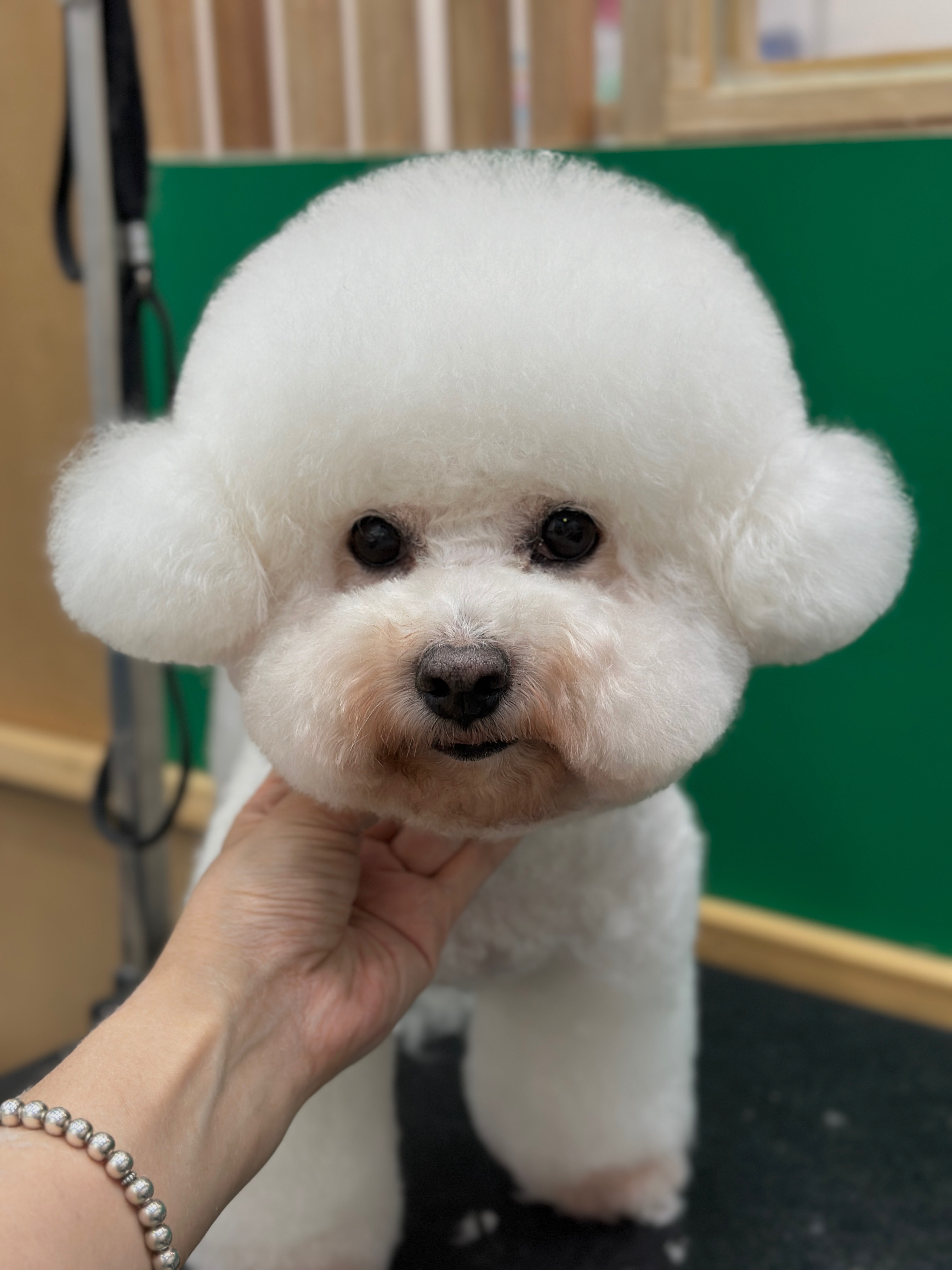 산책가개 3