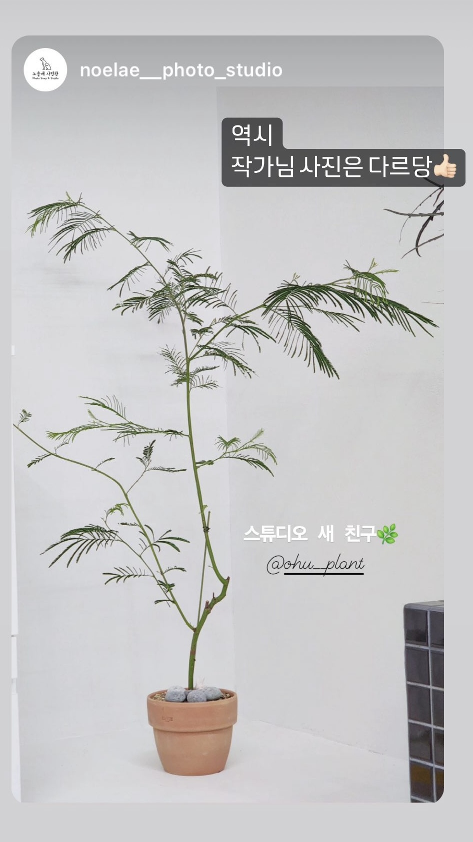오유플랜트