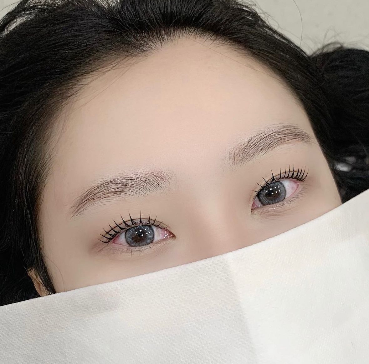 다즐링 대표 이미지