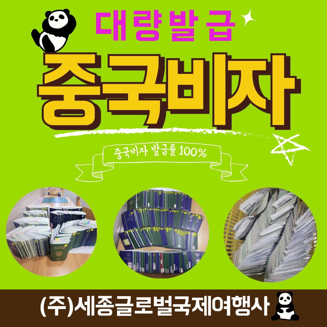 세종글로벌국제여행사