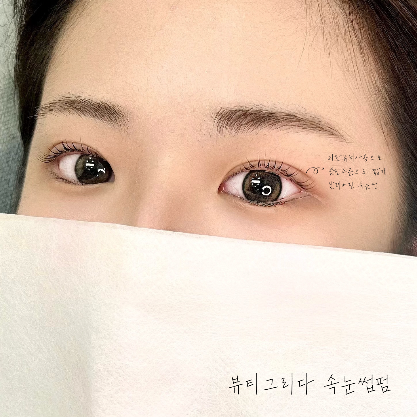 뷰티그리다