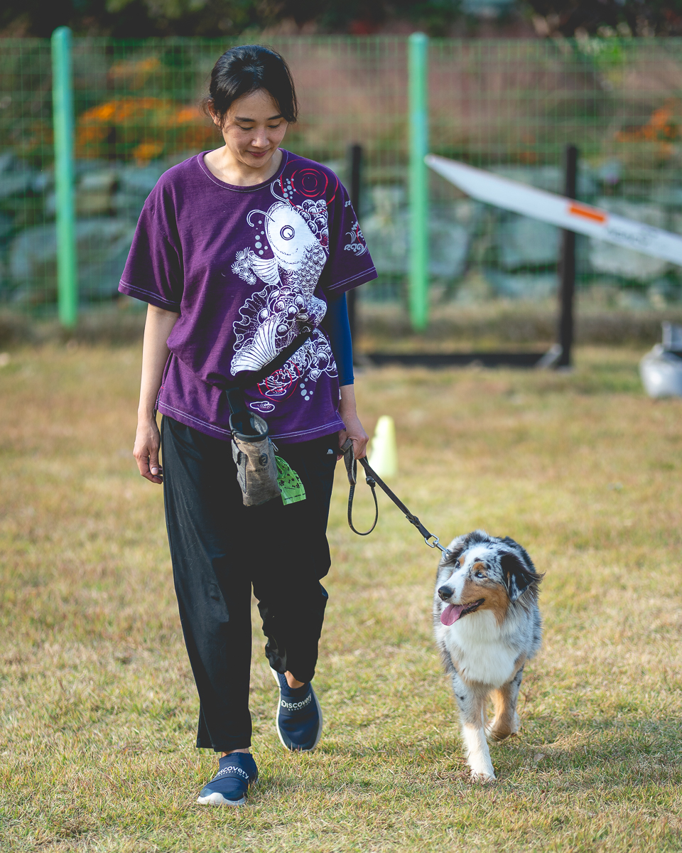 파트라슈 반려견학교