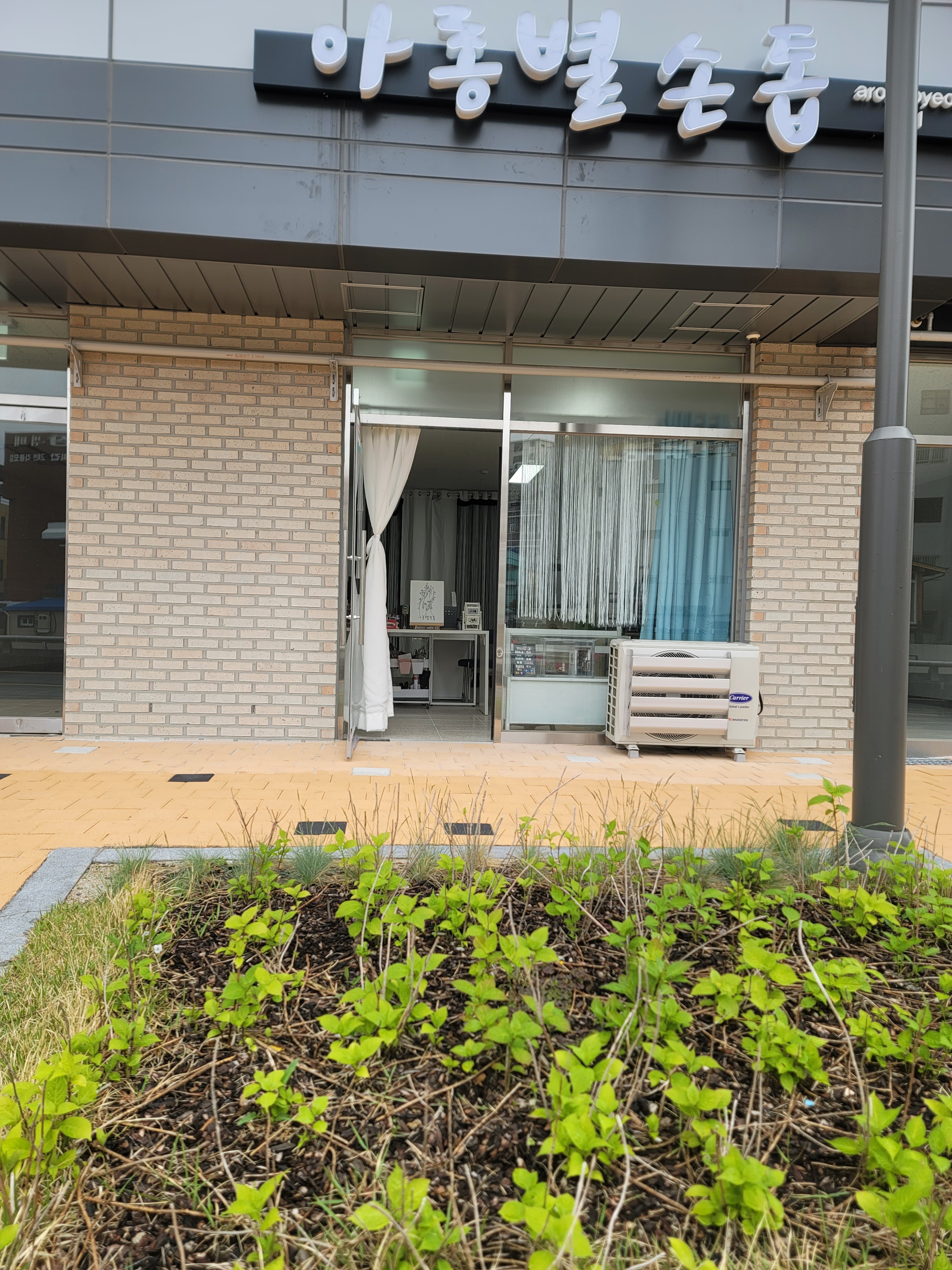 아롱별손톱 대표 이미지