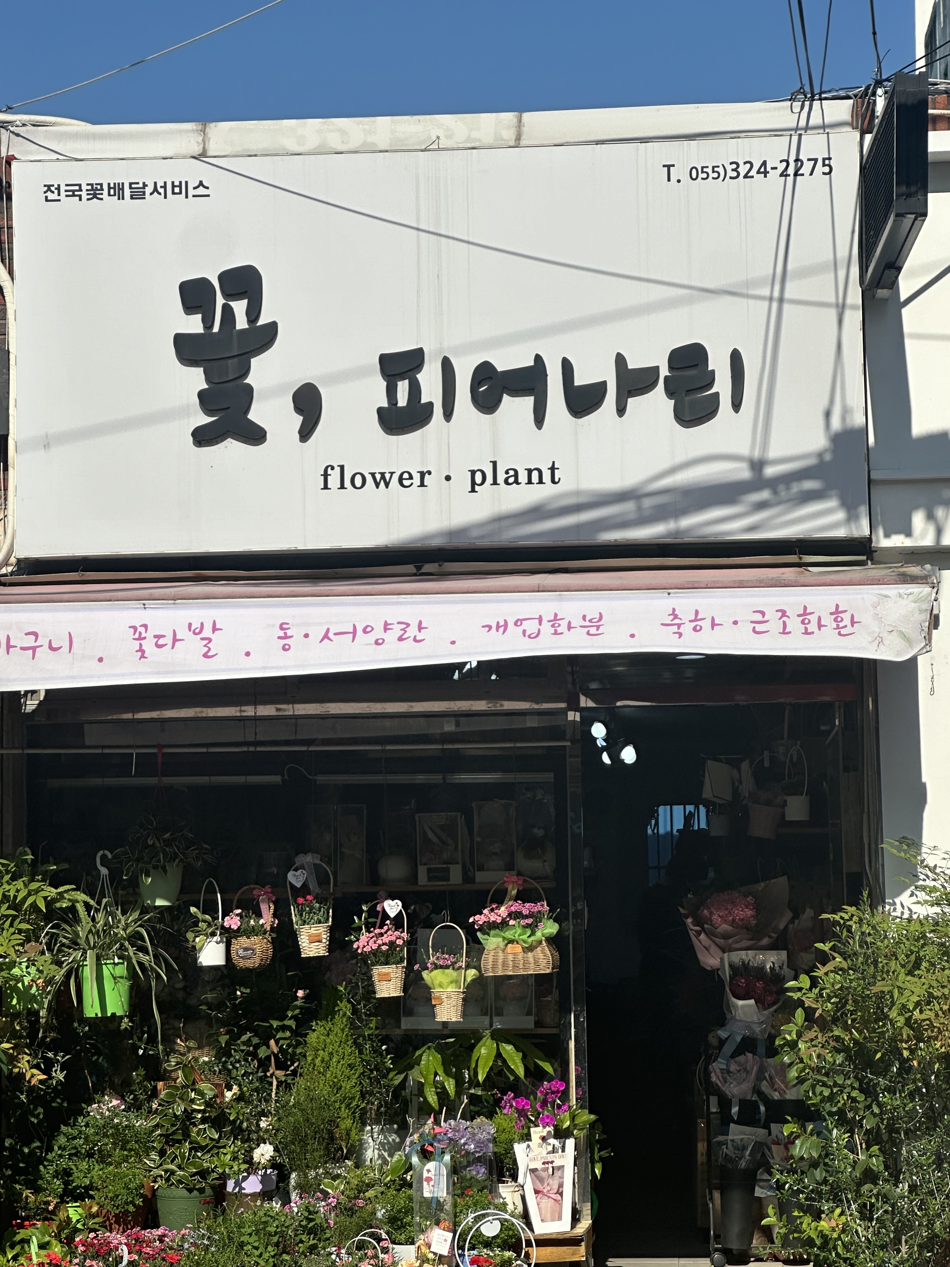 강동꽃도매