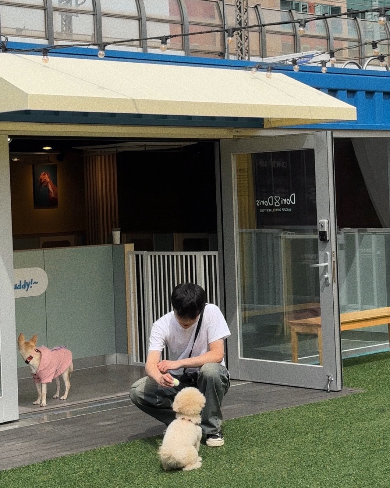 도리앤도리스 대표 이미지