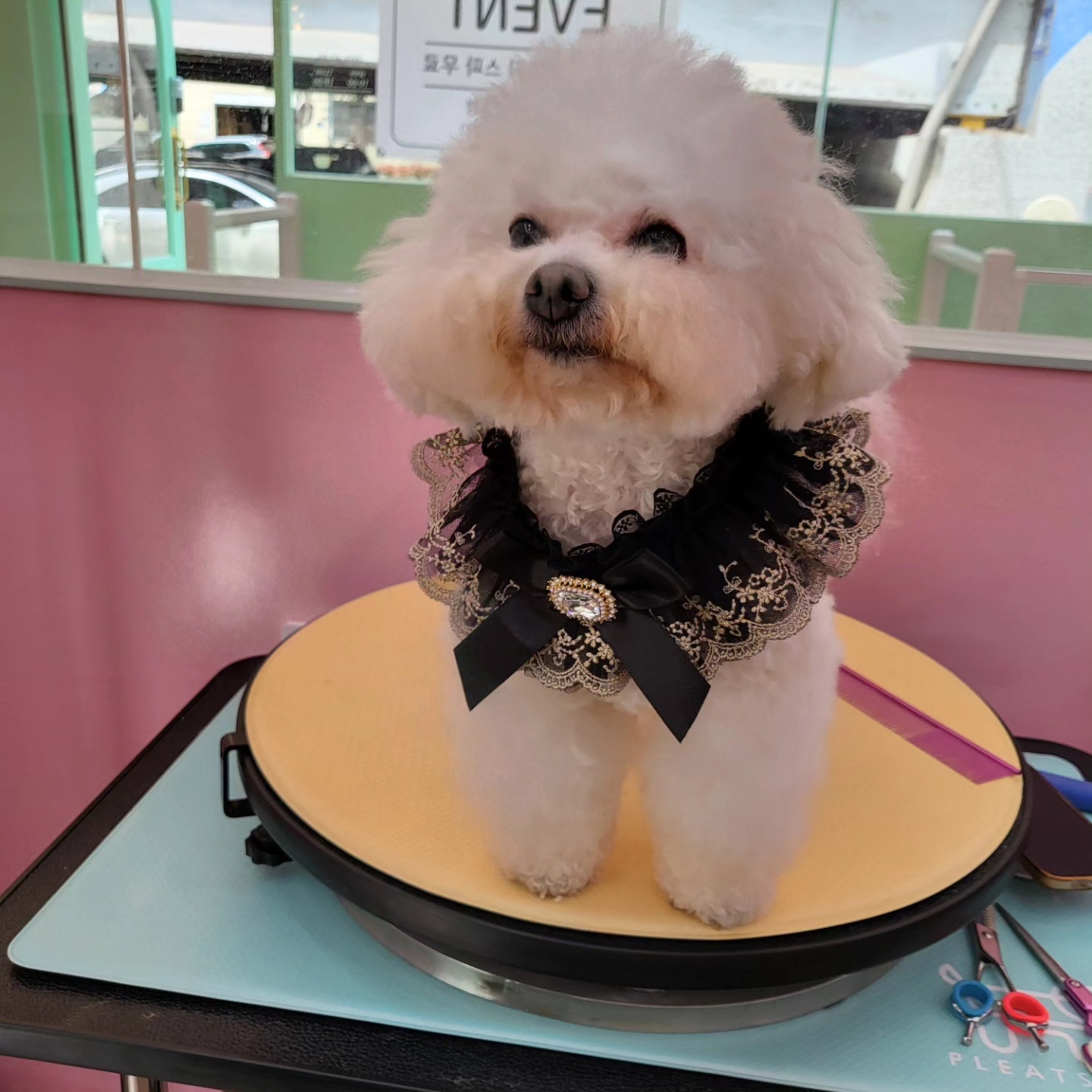 코코 SALON 대표 이미지