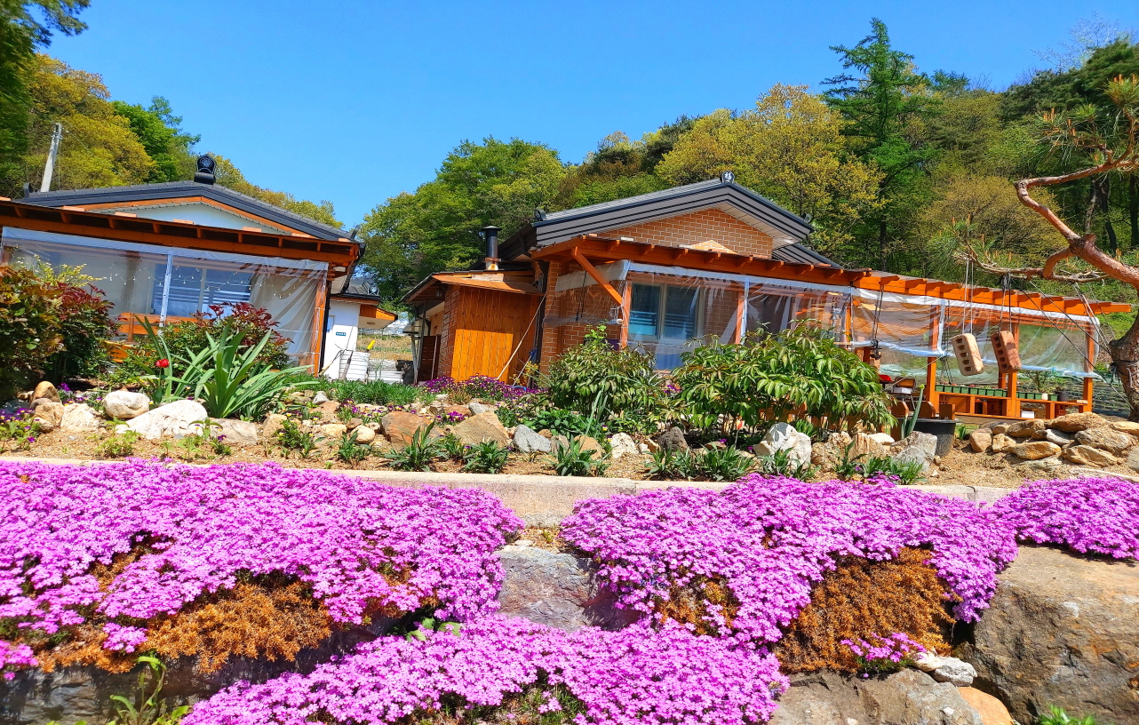 괴산 놀러와펜션