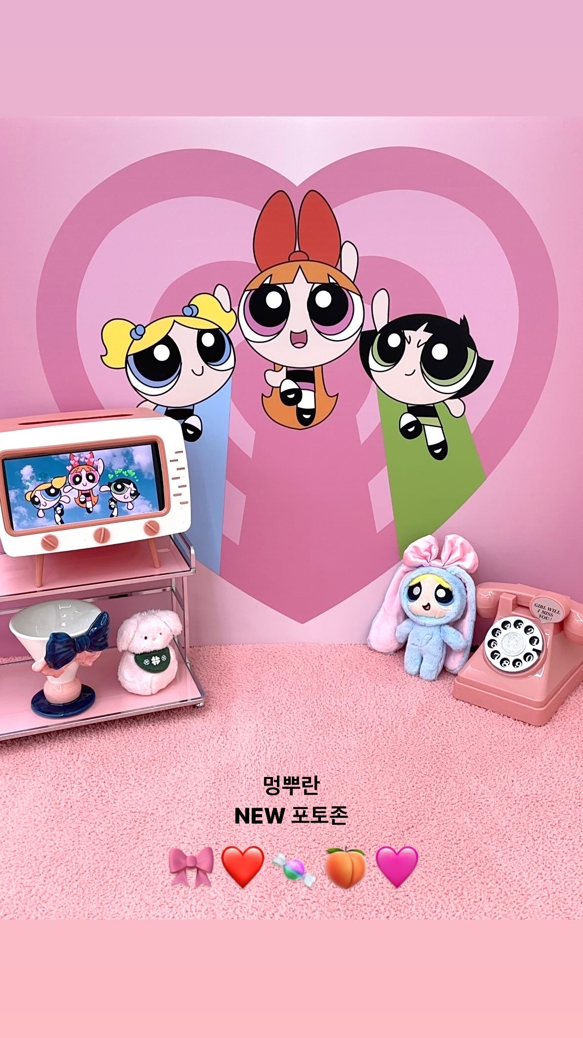 멍블랑 반려견미용실 대표 이미지
