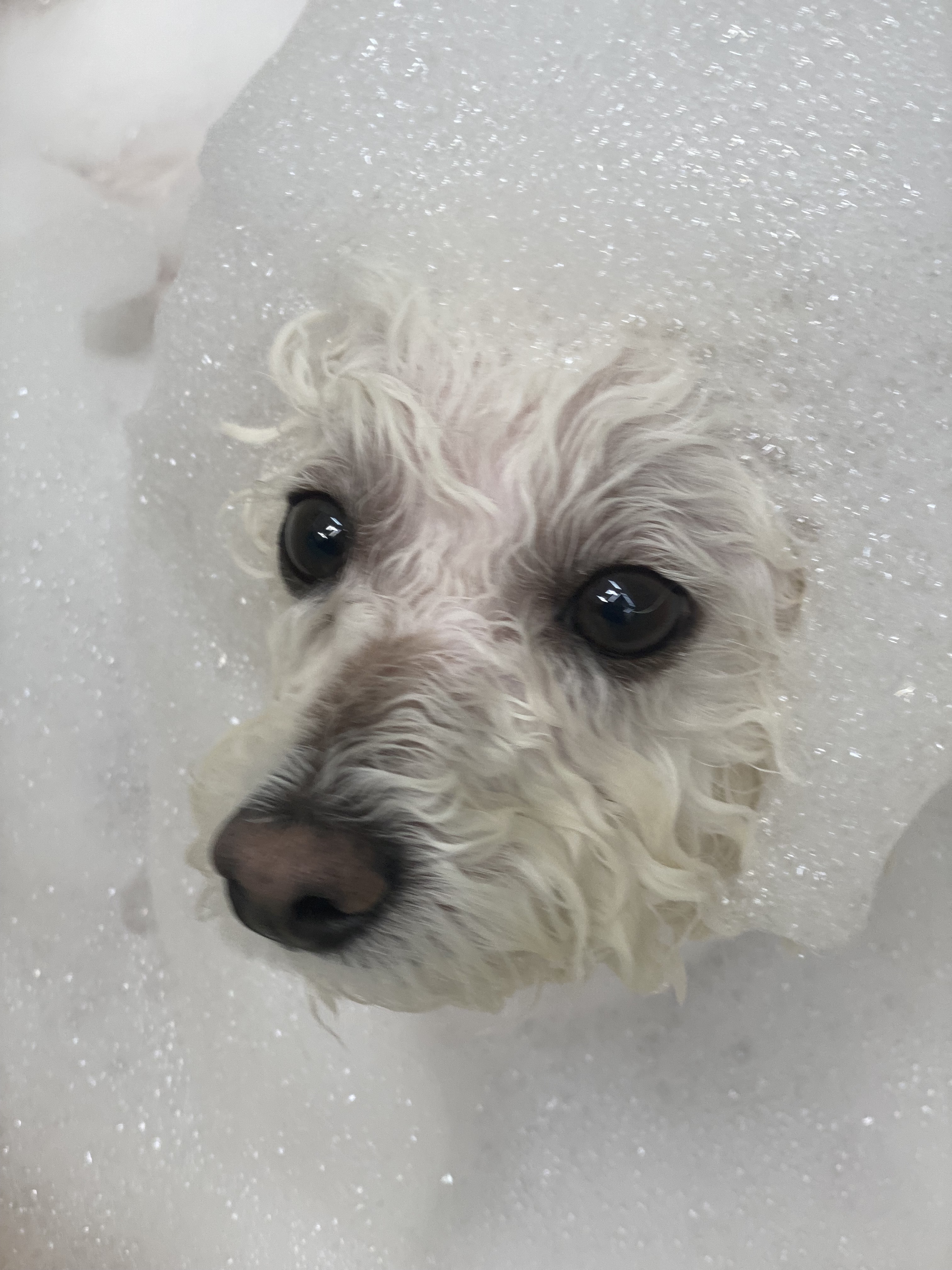 멋지개 대표 이미지