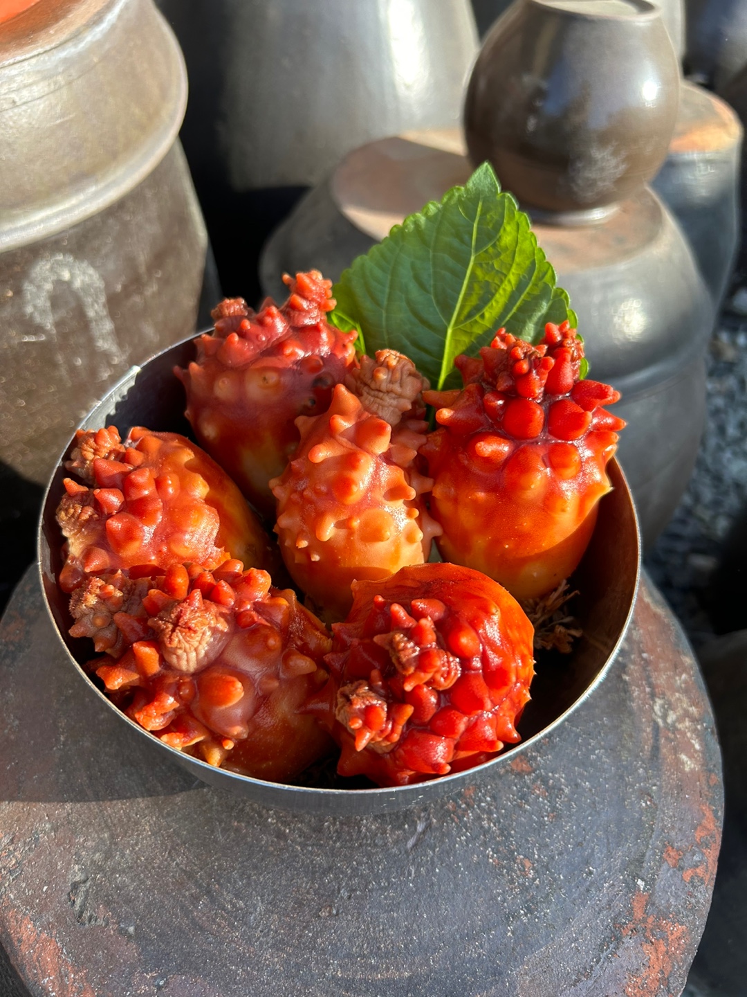 멍게 한접시