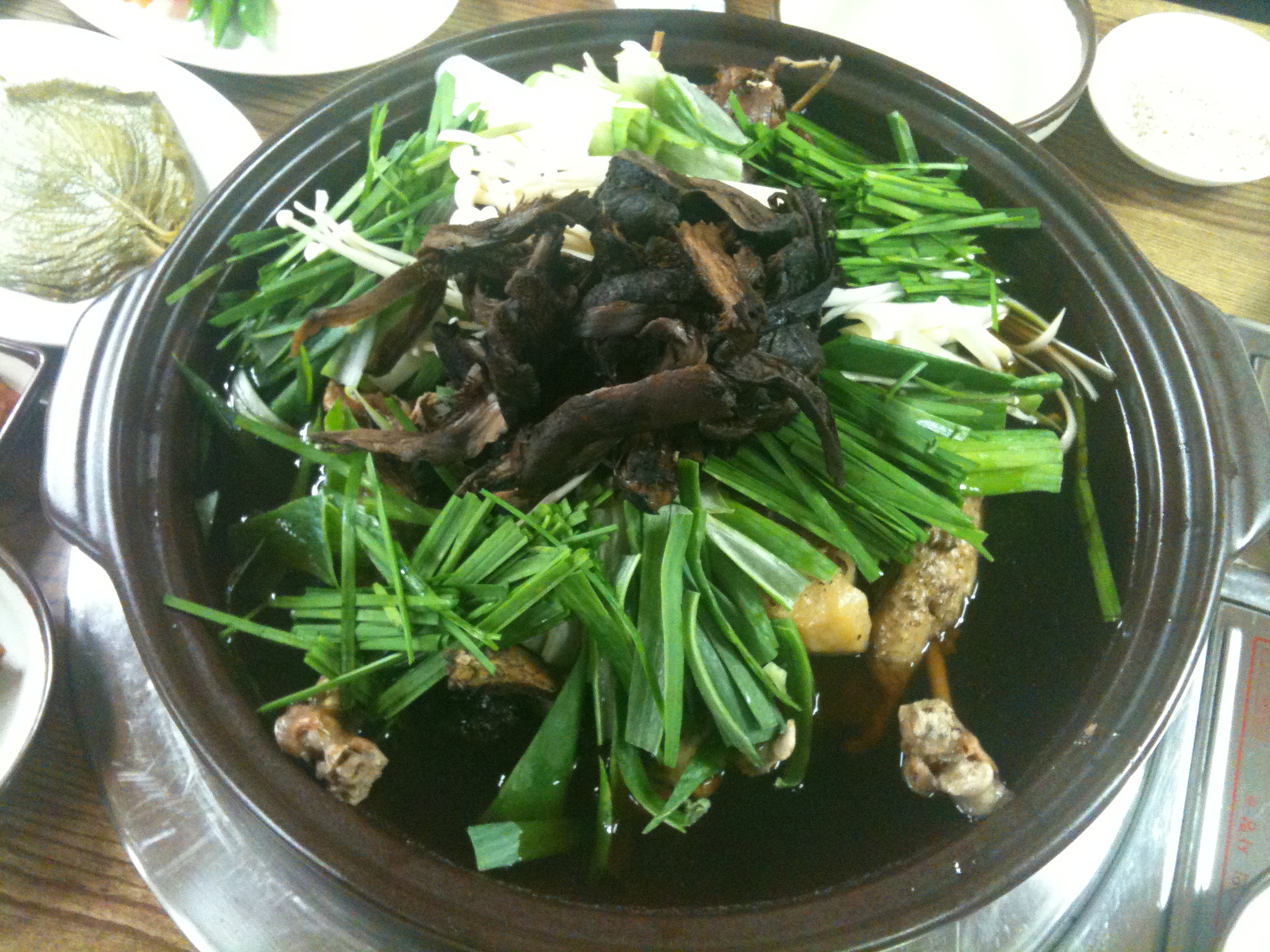 모두닭오리