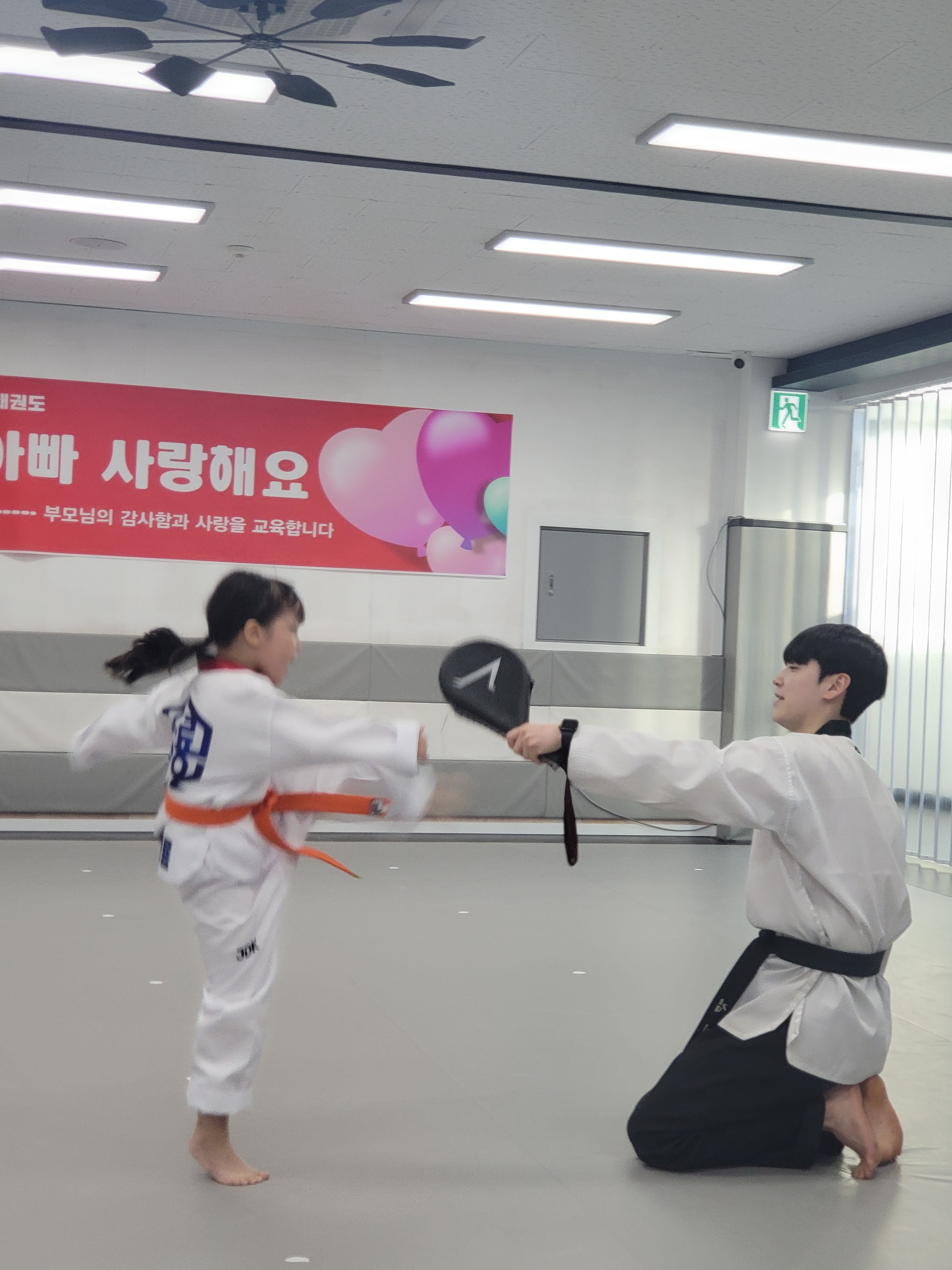 국가대표 청룡 태권도장