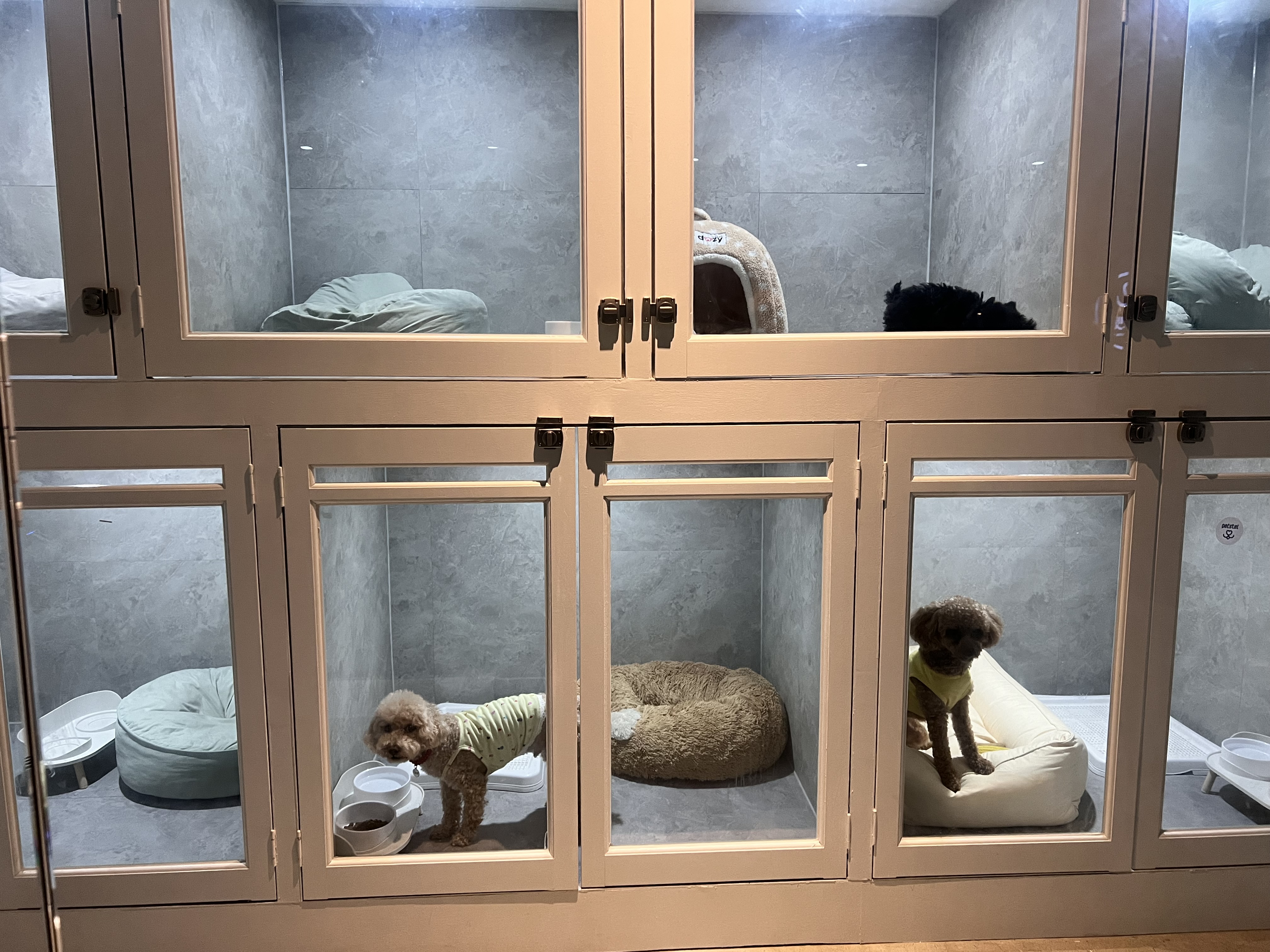 더펫텔 3