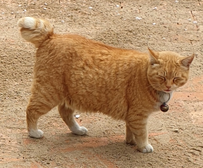 늘푸른정원 사진 3