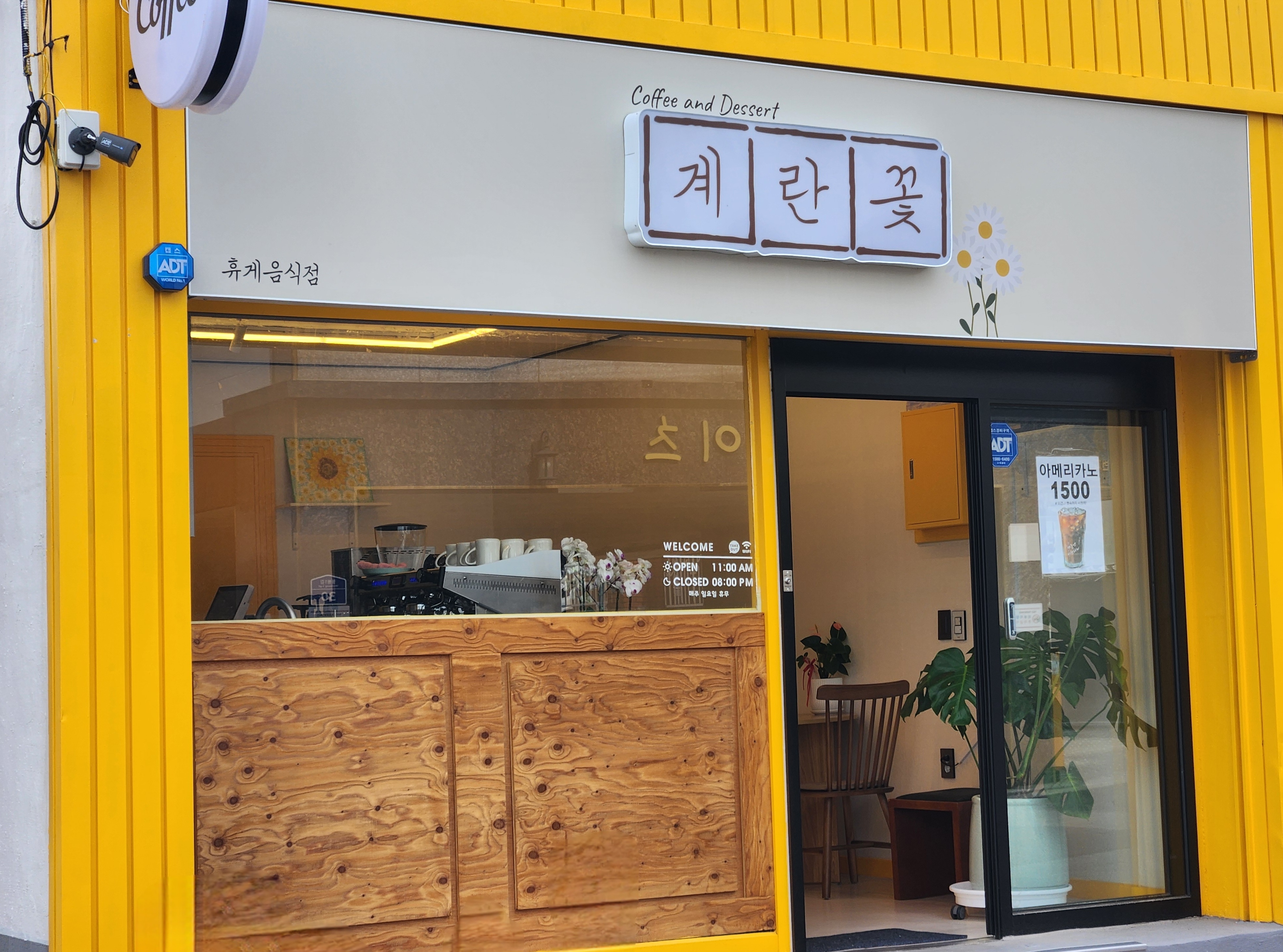 계란꽃