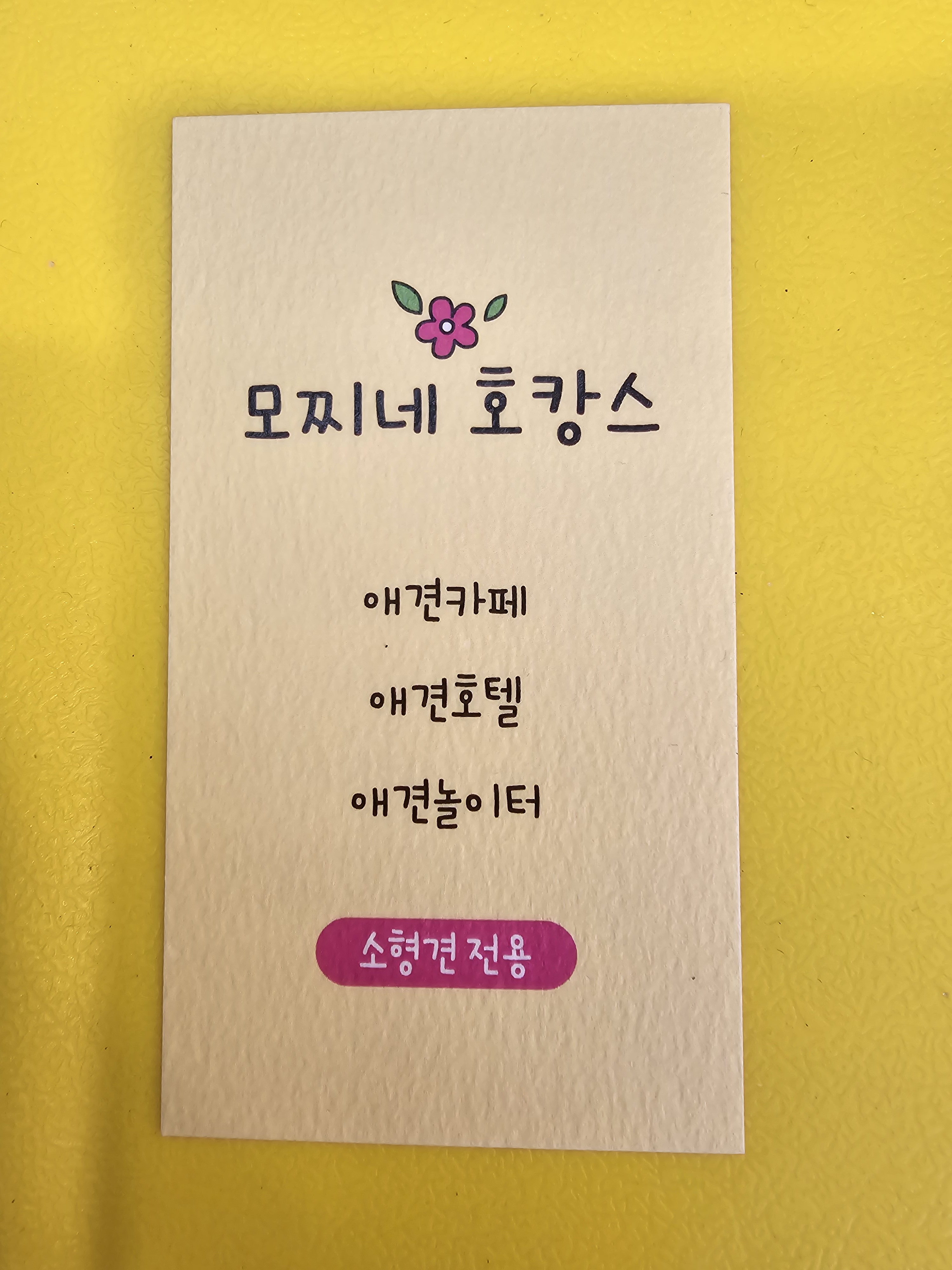모찌네호캉스 — 성남시